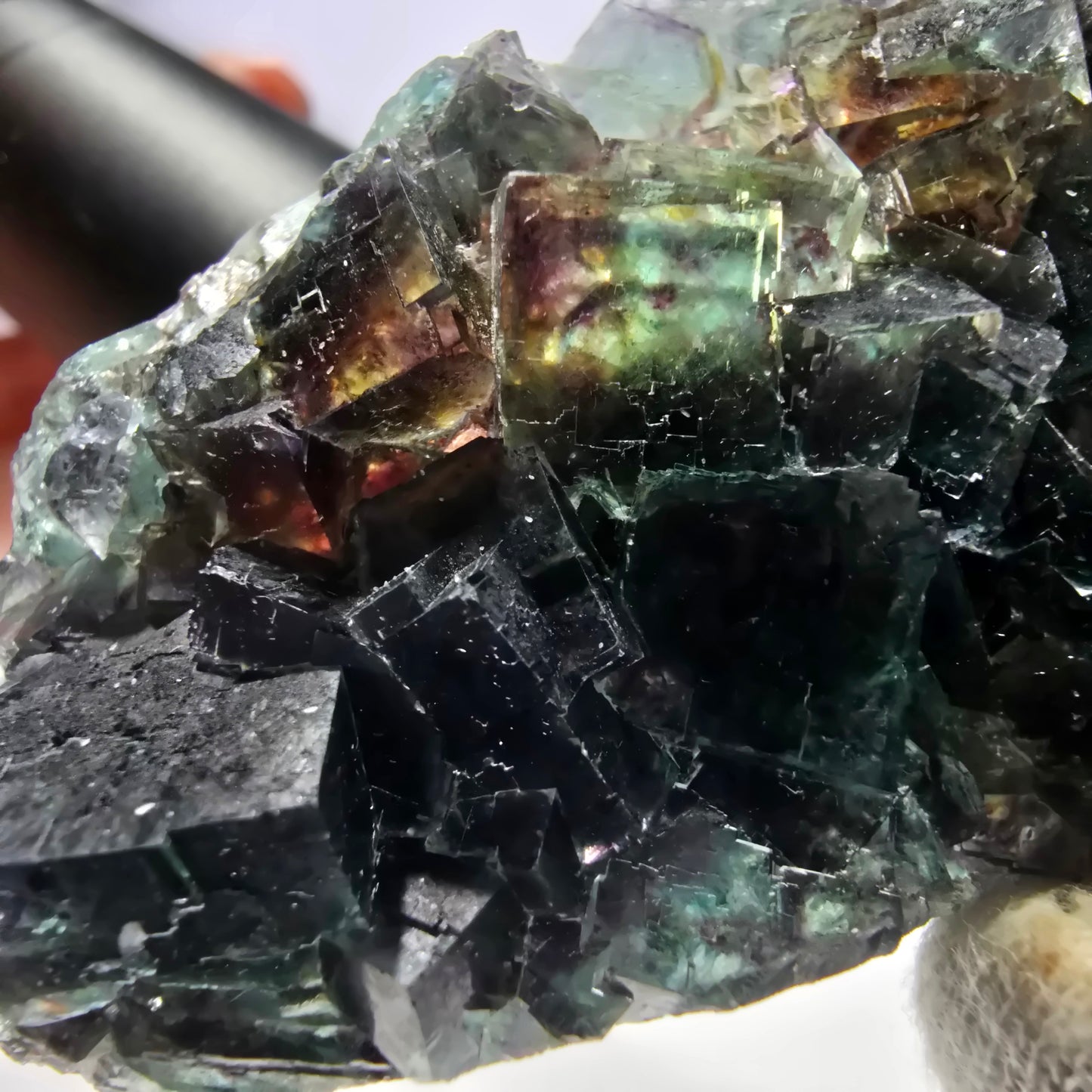 Rare spécimen de cube de fluorite fantôme, vert violet Okorusu Namibie 80*43*17 mm