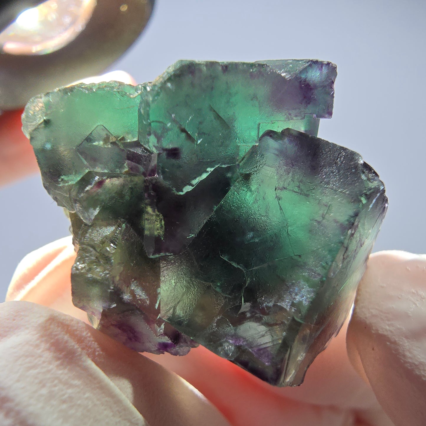 Spécimen de cube de fluorite fantôme parqueté vert violet Okorusu, Namibie 28*24*18mm