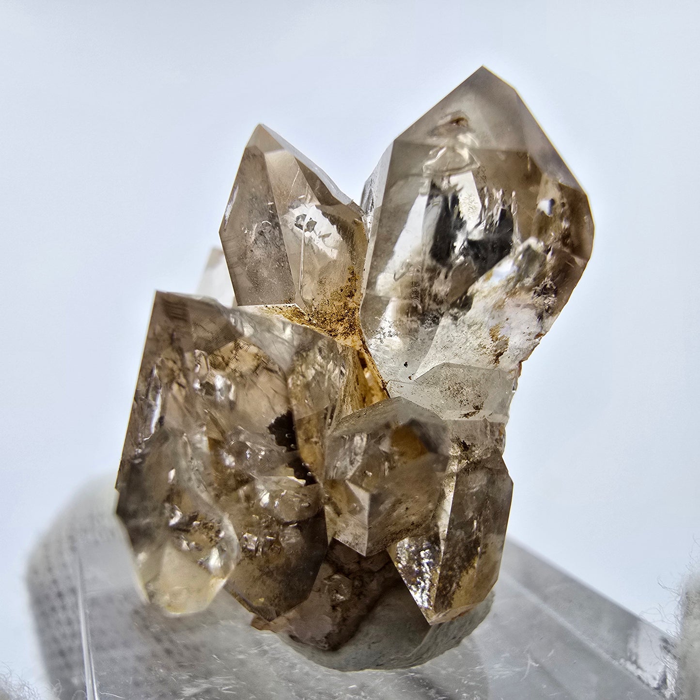 Phantom Rauchquarz DT Zepter Stufe Goboboseb, Namibia 23*21*25mm