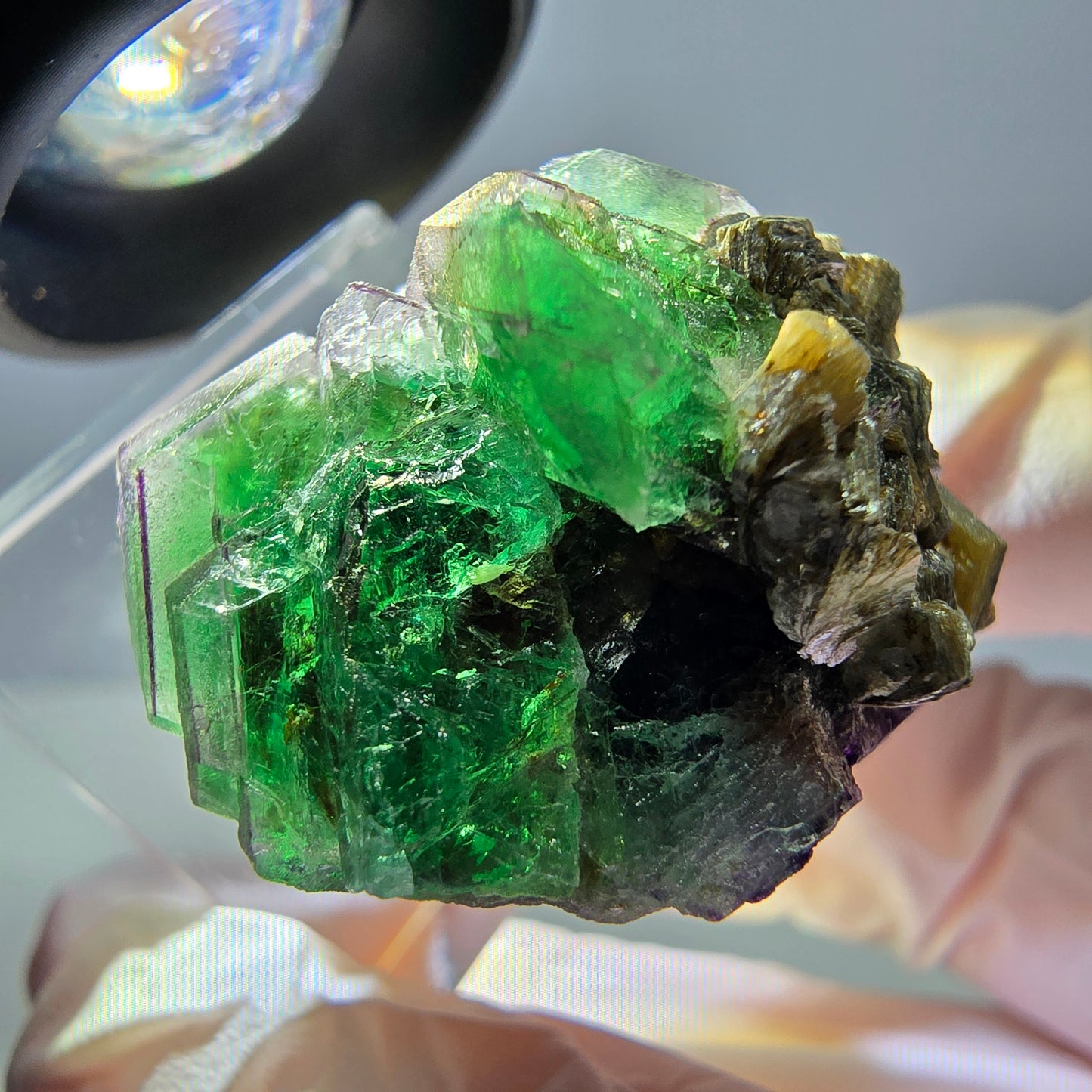 Cube hexagonal de fluorite fantôme, muscovite, tourmaline Schörl, Erongo, Namibie 26 x 24 x 24 mm