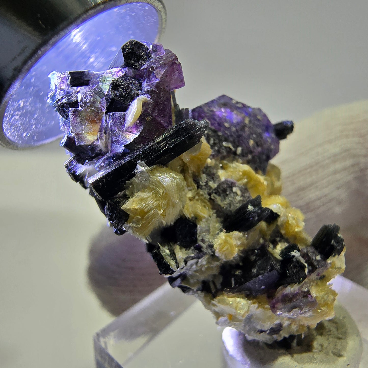 Cubes de fluorite fantôme colorés, tourmaline scholle muscovite hyalite, Erongo, Namibie, 36 x 24 x 15 mm