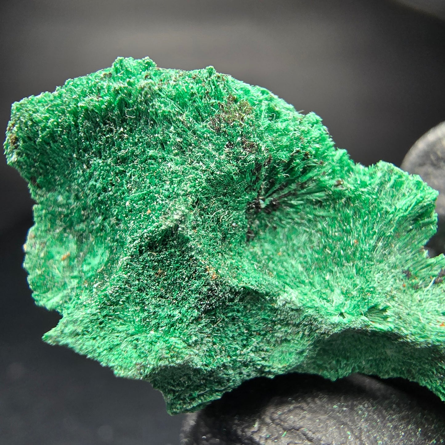 Seltene Malachit Stufe, grün Kaokoveld, Namibia 35*19*16mm Mineraliensammlung