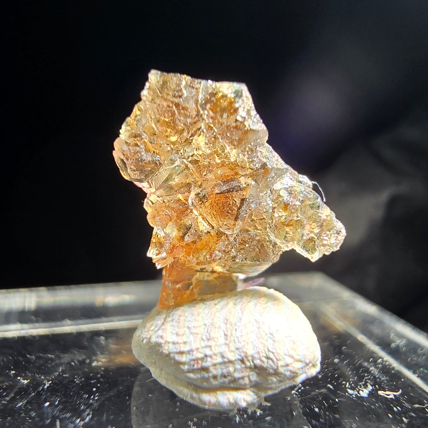 Klare gelb lila Fluorit Stufe Erongo, Namibia 12*9*5mm Sammlung