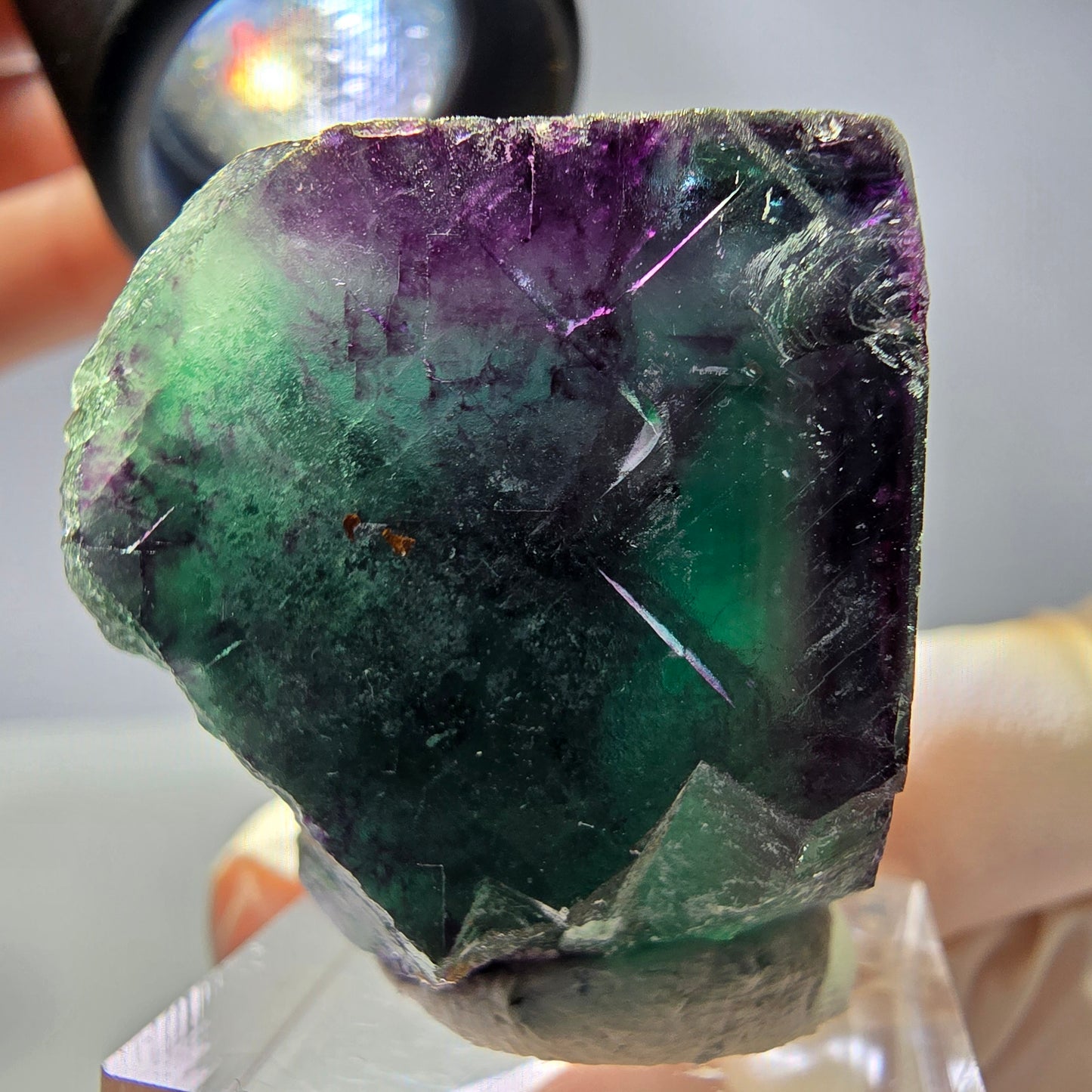 Rare cube de fluorite fantôme parqueté vert violet Okorusu Namibie 31*30*30mm