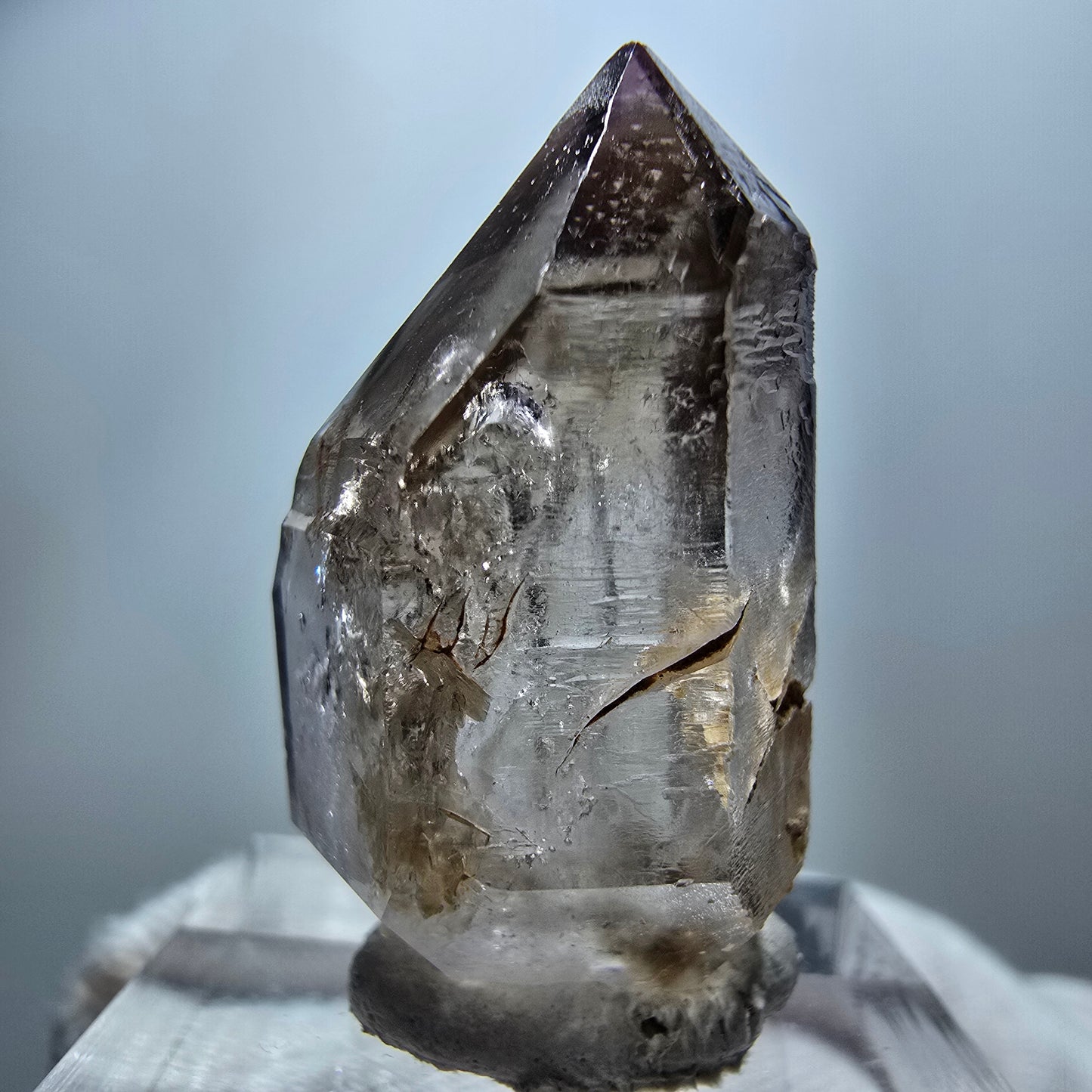 Phantom Amethyst, Rauchquarz Zepter Kristall Goboboseb, Namibia 31*17*16mm