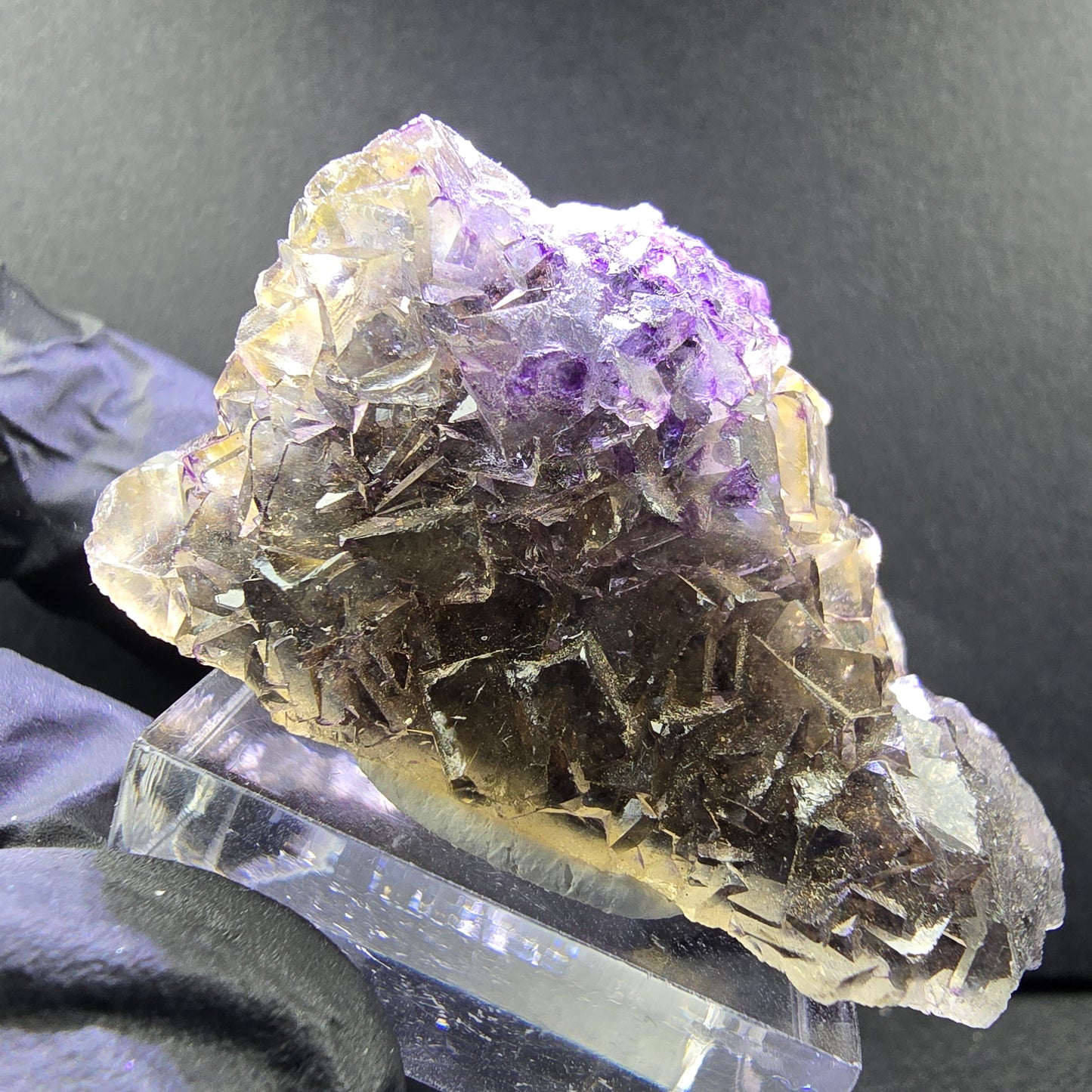 Seltene Honey Pocket Phantom Fluorit XX Würfel Stufe 46*22*23mm Okorusu, Namibia