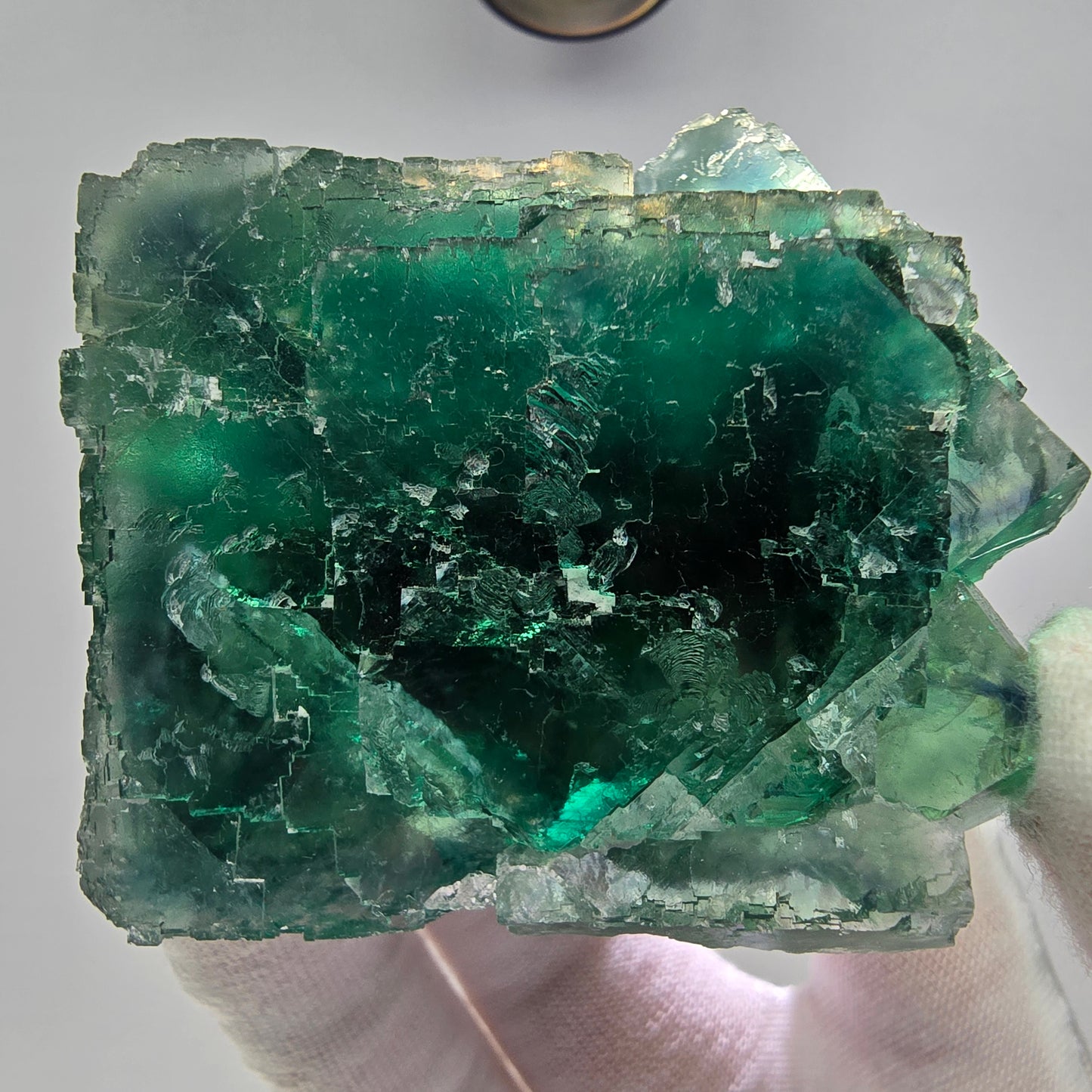 Große Phantom Fluorit Würfel Stufe grün gelb Okorusu Namibia 73*67*38mm Sammlung