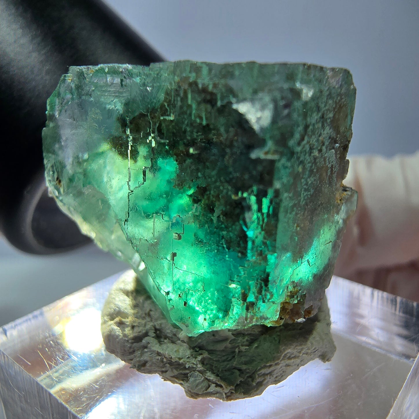 Cube de fluorite fantôme transparente parquetée, vert Okorusu, Namibie 21 x 21 x 19 mm