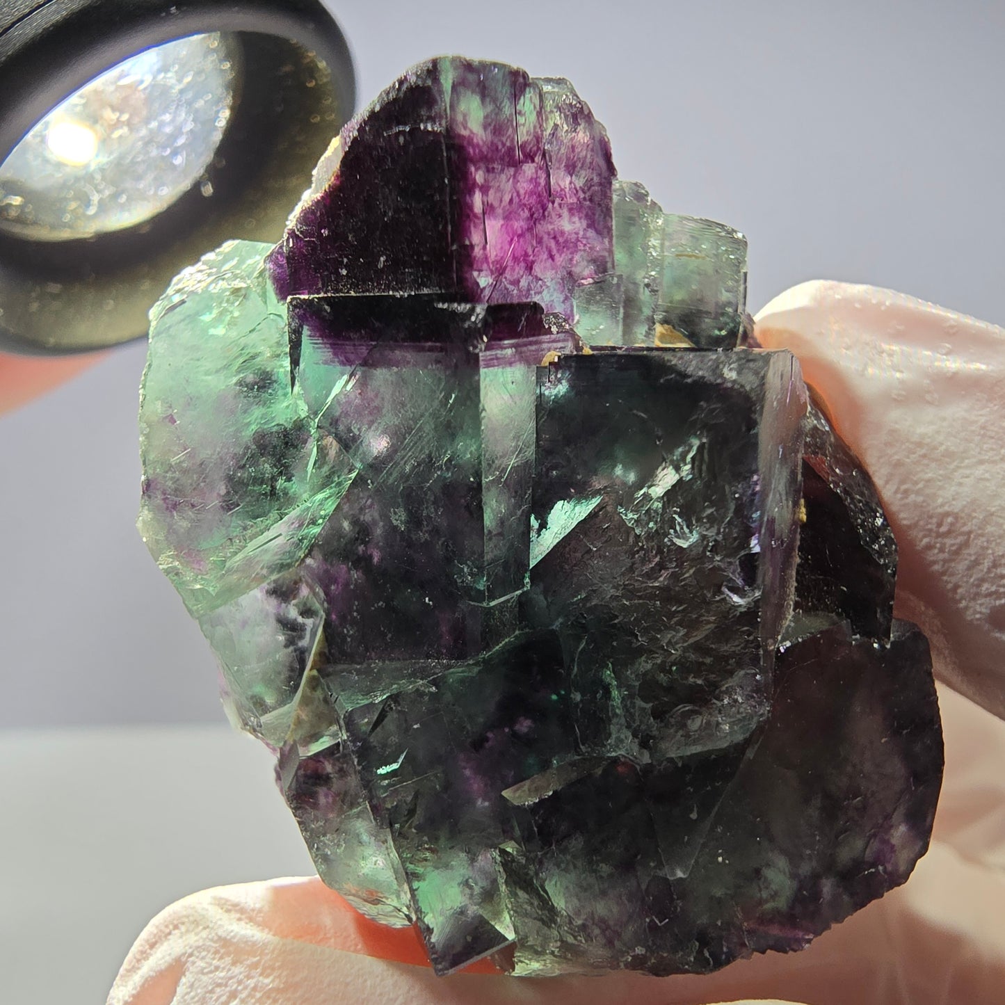Spécimen de cube de fluorite fantôme parqueté vert violet Okorusu, Namibie 41*30*18mm