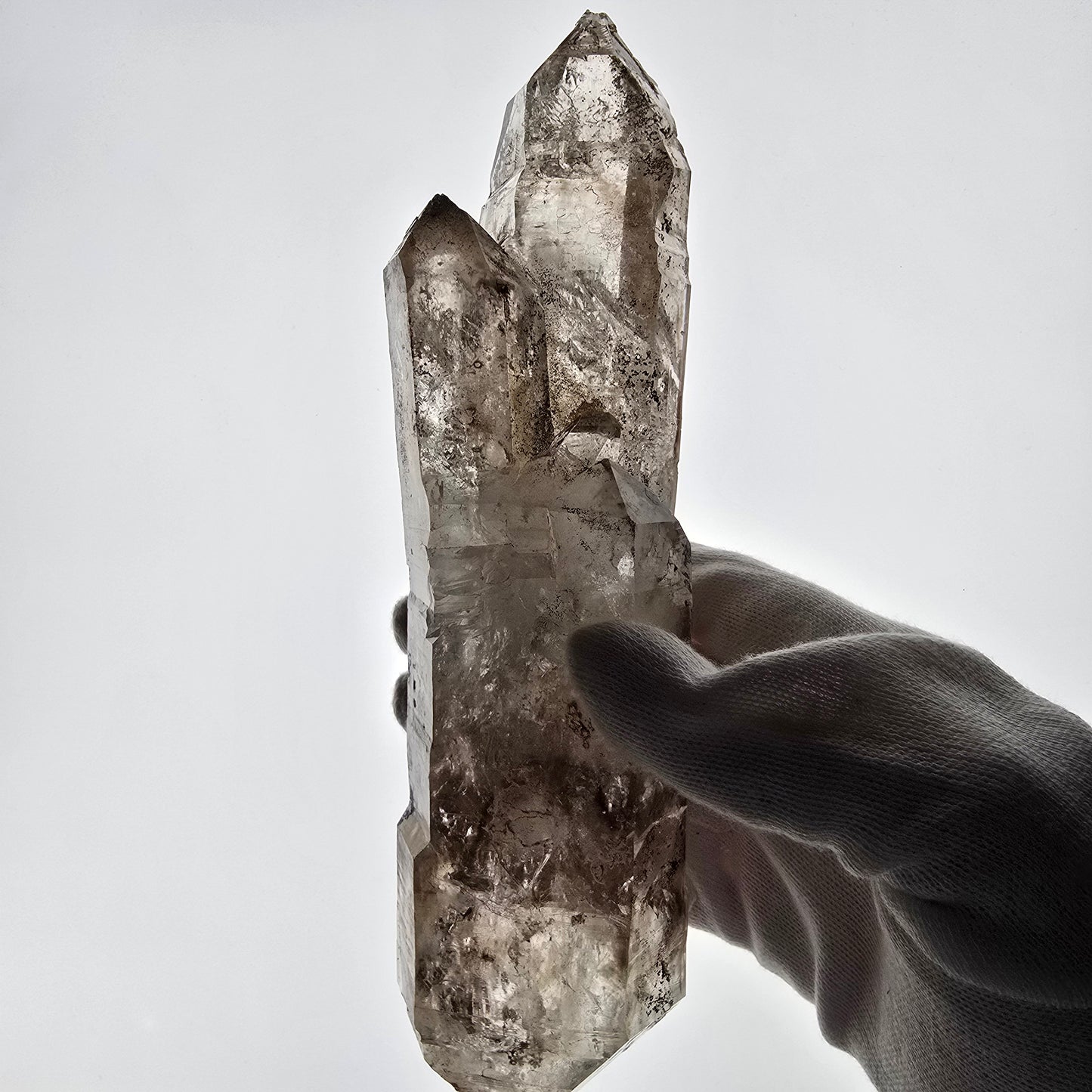 Sceptre XL Enhydro Skeleton Smoky Quartz DT, 4x Bubble Valentine Pocket, Namibie 233 x 54 x 47 mm