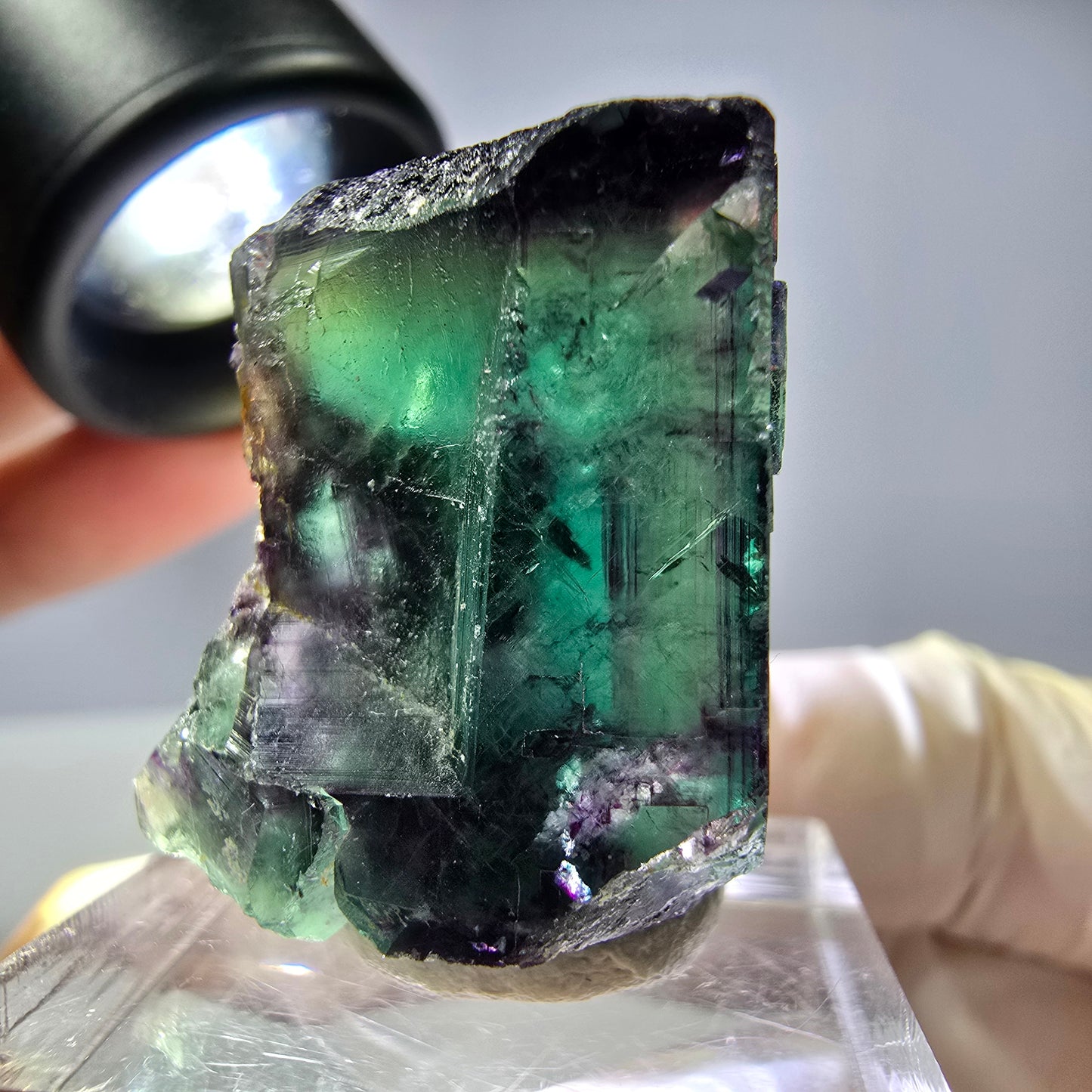 Rare cube de fluorite fantôme parqueté vert violet Okorusu Namibie 25*21*22mm
