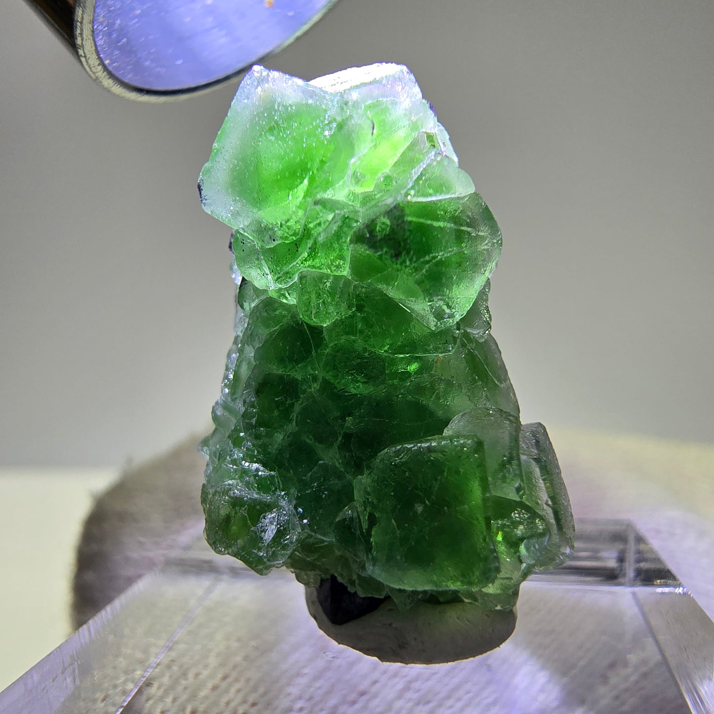 Cube de fluorite fantôme, spécimen de tourmaline Schorl, Erongo, Namibie, 26 x 15 x 15 mm