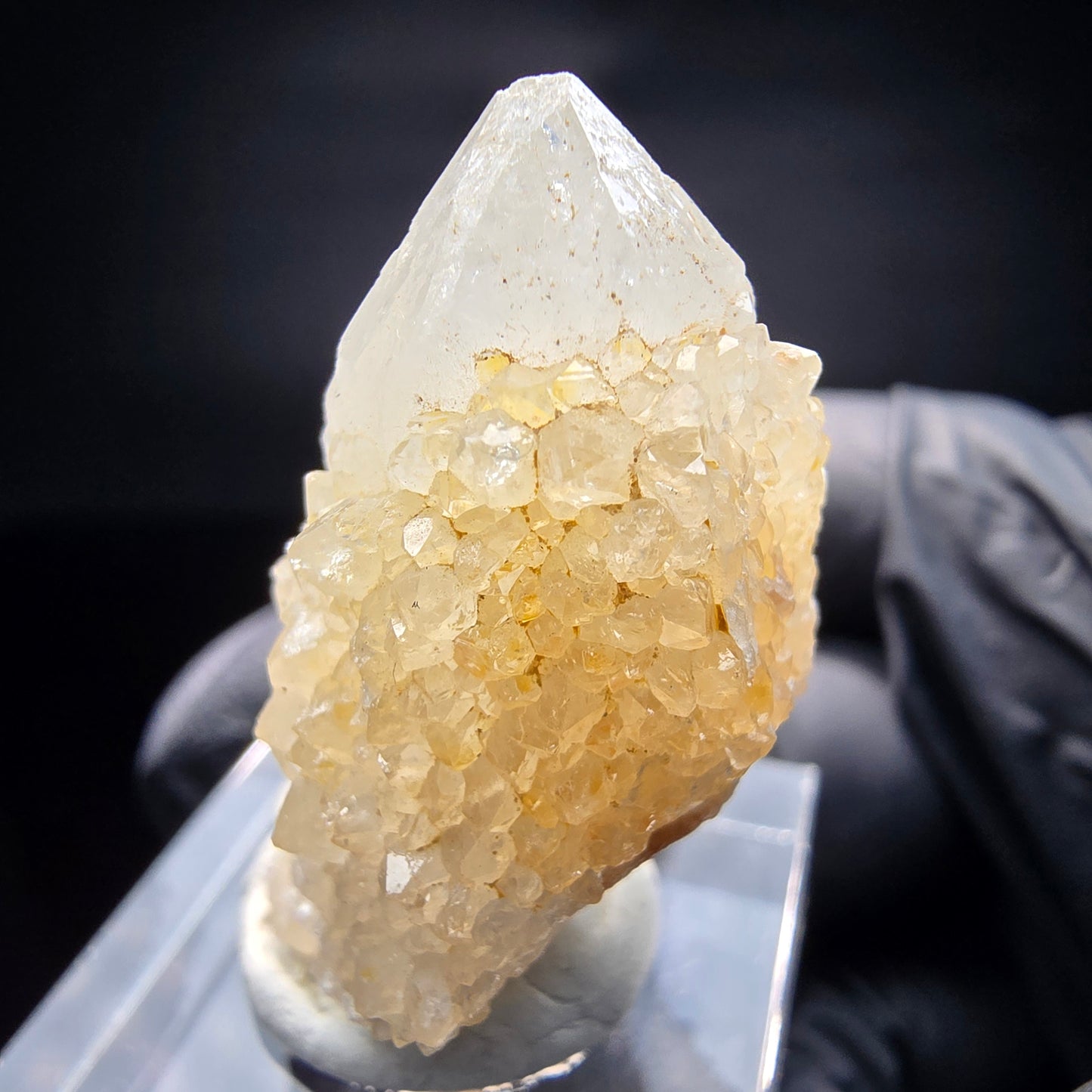 Quartz cactus, quartz spiritueux niveau XX Boekenhouthoek, collection Afrique du Sud 35*23*17