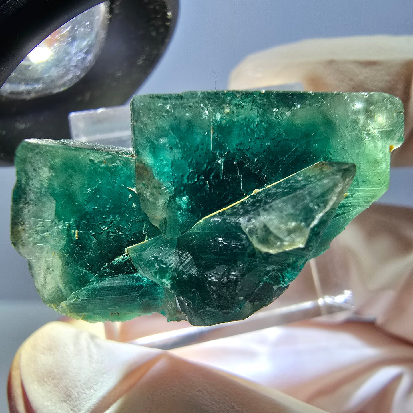 Spécimen de cube de fluorite fantôme, parquet vert Okorusu, Namibie 28*25*17 mm