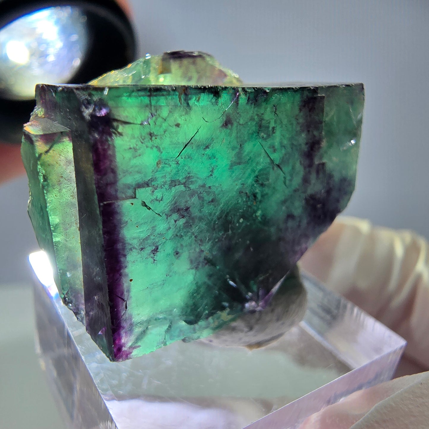 Rare cube de fluorite fantôme parqueté vert violet Okorusu Namibie 30*25*13mm