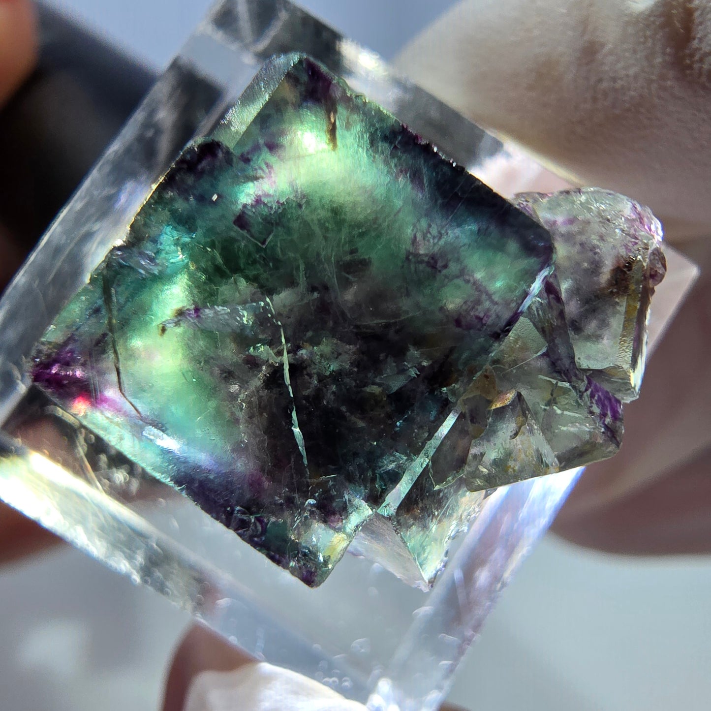 Spécimen de cube de fluorite fantôme, parqueté vert violet Okorusu, Namibie 19*18*14 mm