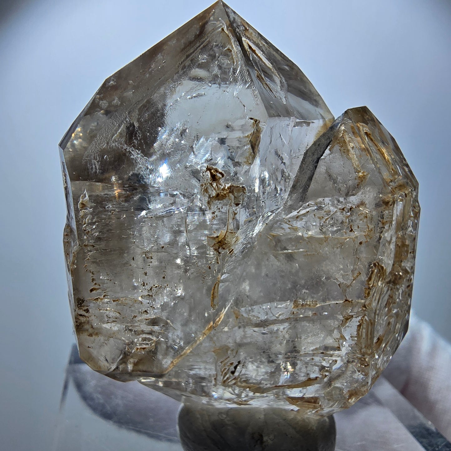 Phantom Rauchquarz Skelett DT Zepter Kristall Goboboseb, Namibia 50*37*20mm