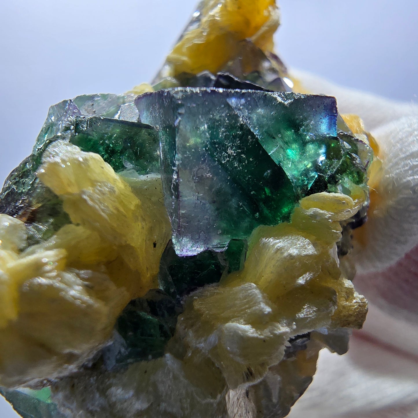 Cube de fluorite fantôme zonal, spécimen de muscovite, Erongo, Namibie, 60 x 33 x 33 mm