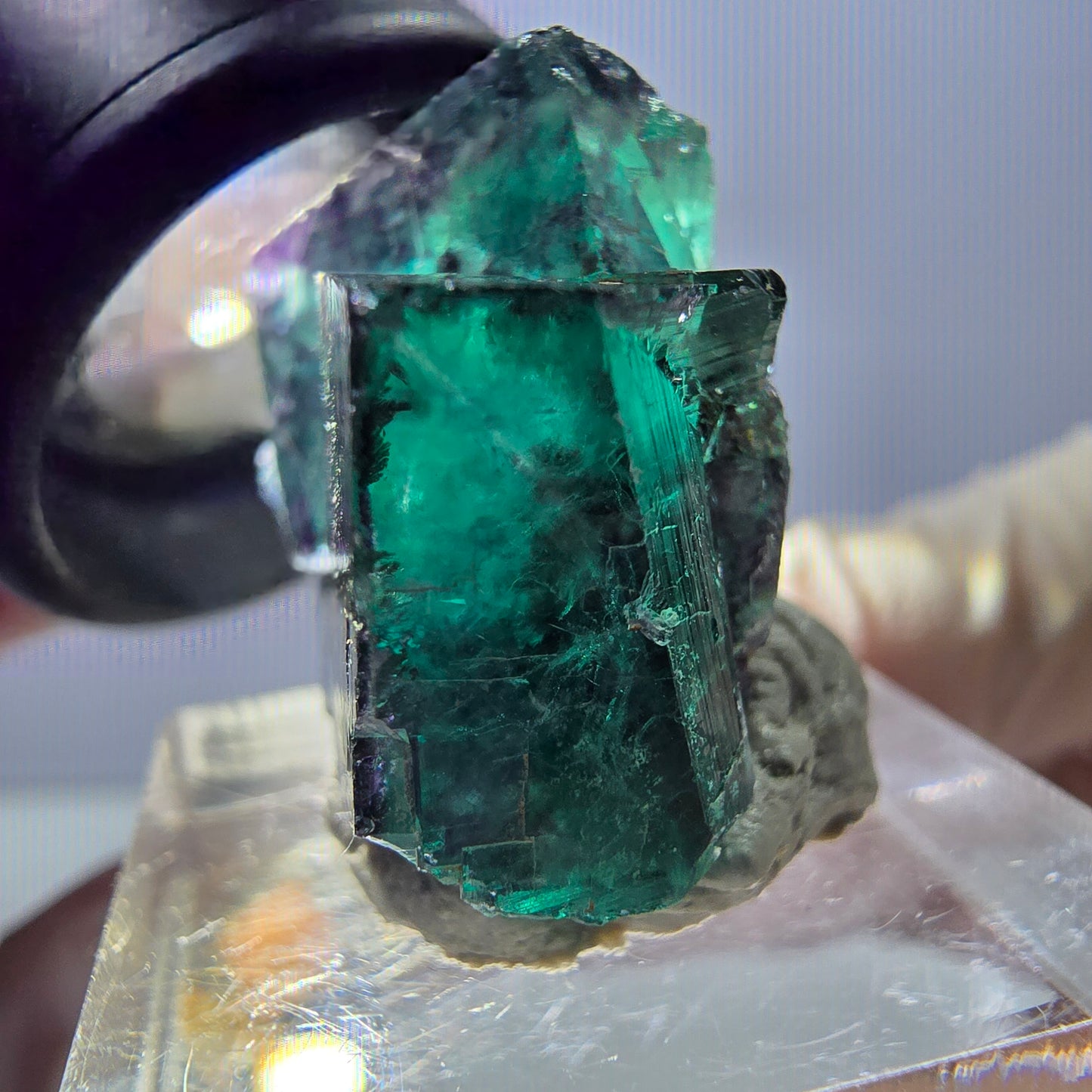 Spécimen de cube de fluorite fantôme, parqueté vert violet Okorusu, Namibie 27 x 24 x 15 mm