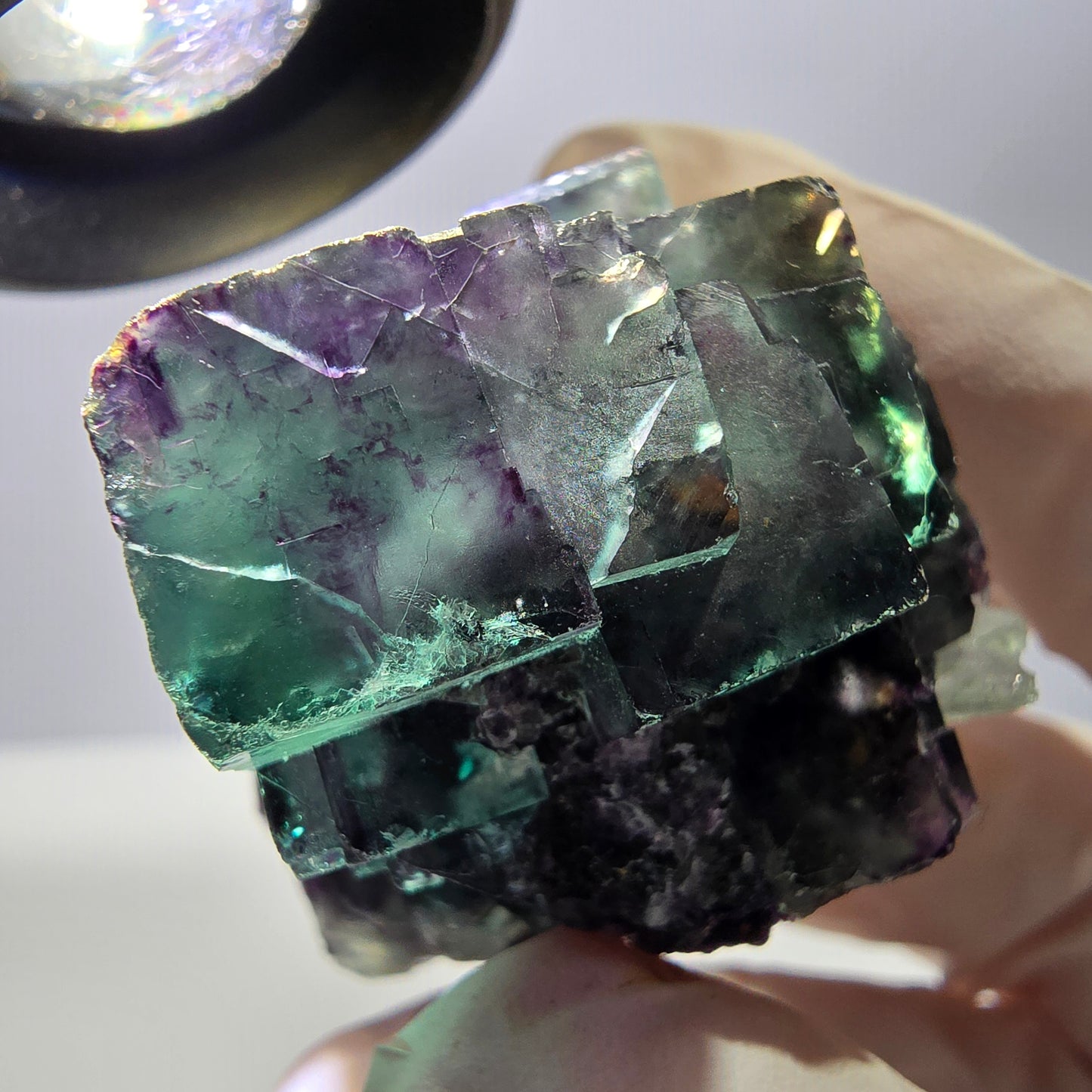 Spécimen de cube de fluorite fantôme parqueté vert violet Okorusu, Namibie 45*42*35 mm