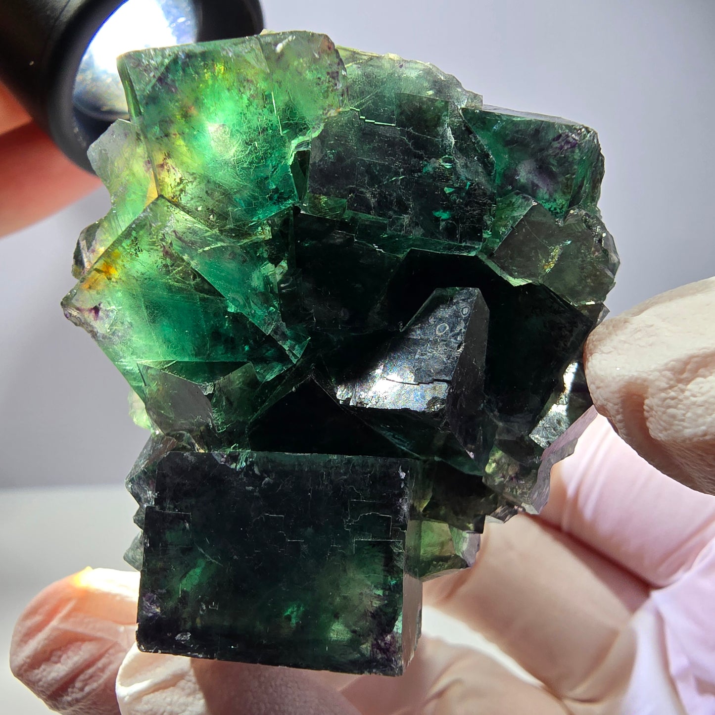 Spécimen de cube de fluorite fantôme, parqueté vert violet Okorusu, Namibie 52*46*32mm