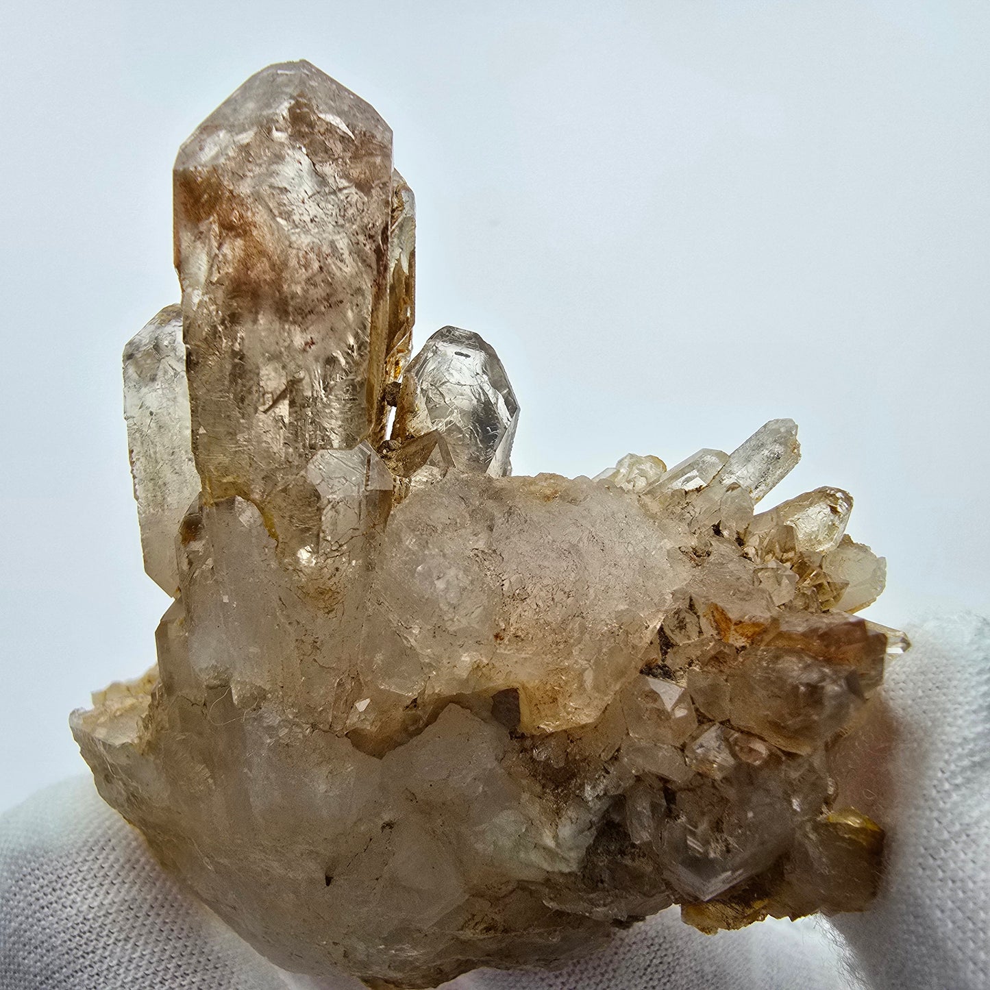 Enhydro Phantom Rauchquarz Zepter auf Matrix Goboboseb, Namibia 67*60*37mm