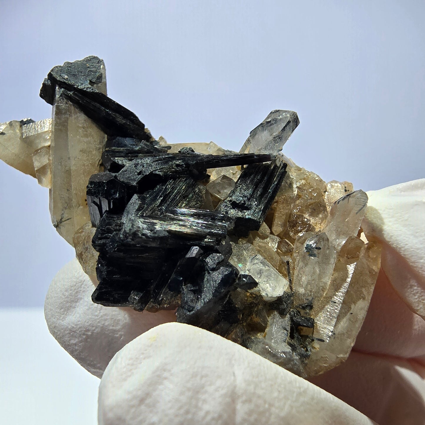 Rare spécimen de tourmaline Schorl et de quartz fumé, Erongo, Namibie, 44 x 24 x 17 mm