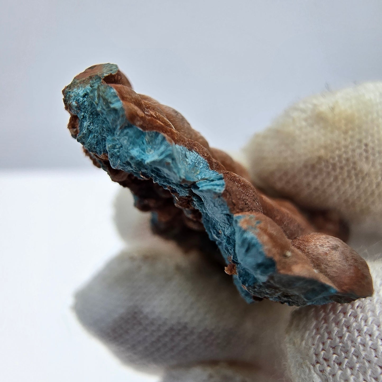 Spécimen rare de Shattuckite avec cristaux sphériques Kaokoveld, Namibie 35*24*16mm