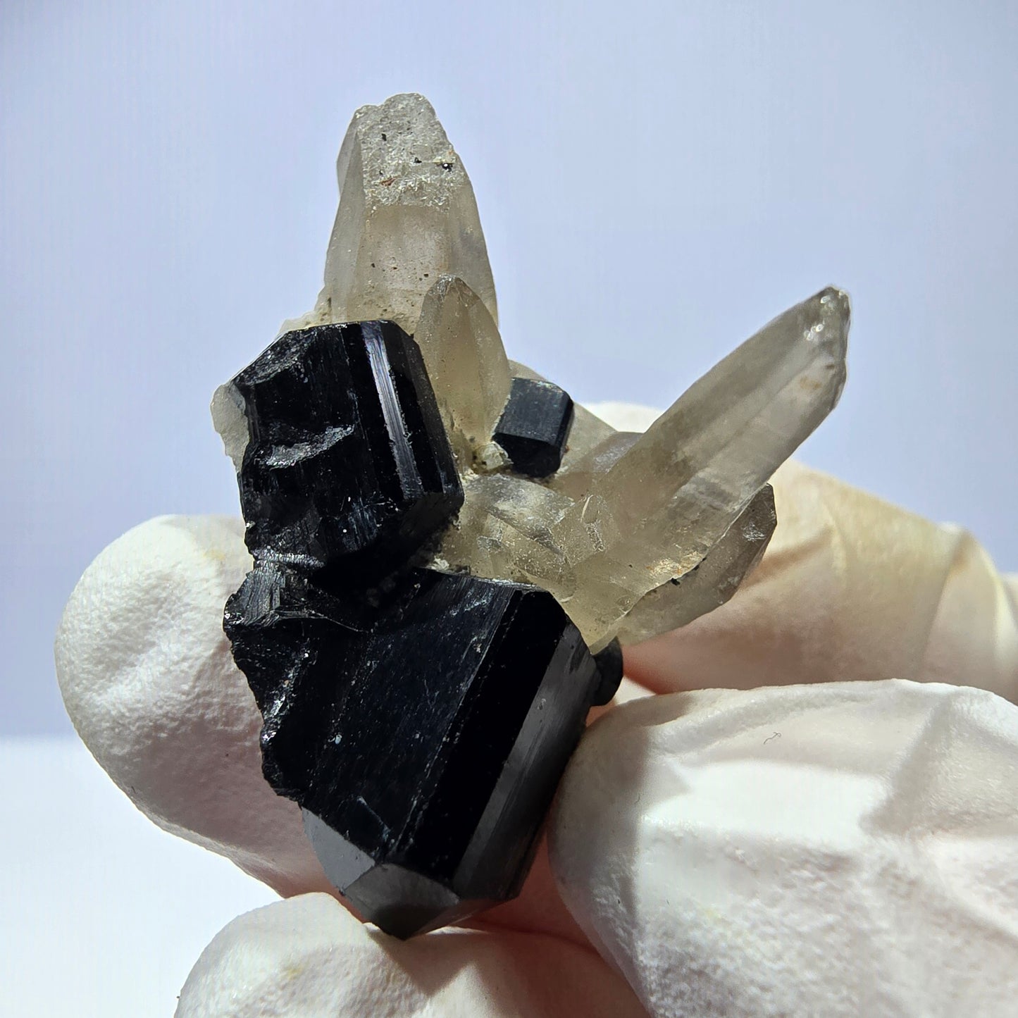 Tourmaline Schorl symétrique, spécimen de quartz fumé, Erongo, Namibie, 33 x 21 x 23 mm