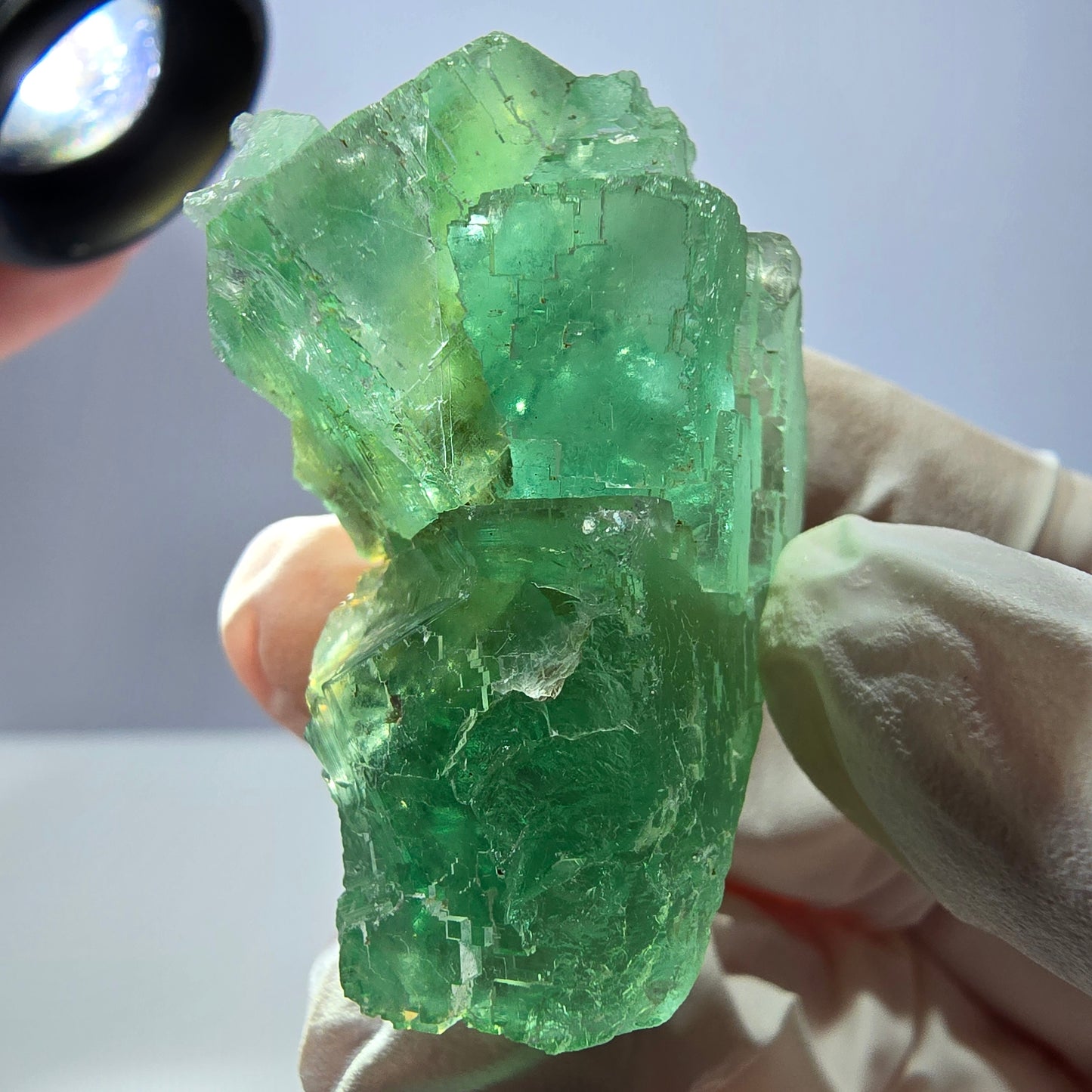 Spécimen de cube de fluorite fantôme transparente, vert parqueté, Okorusu, Namibie, 46 x 35 x 21 mm