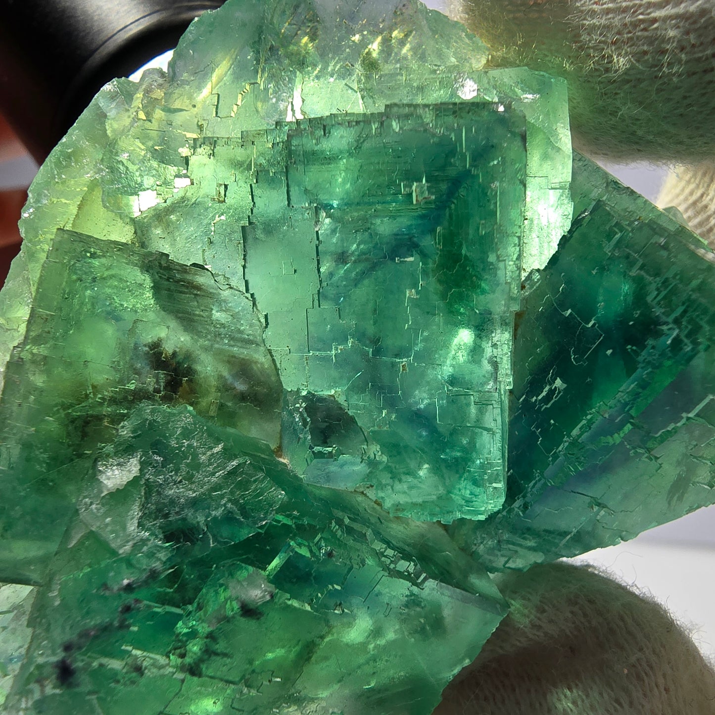 Rare Phantom Fluorite Cube Specimen Parquetted Green Okorusu Namibia 69*54*23mm