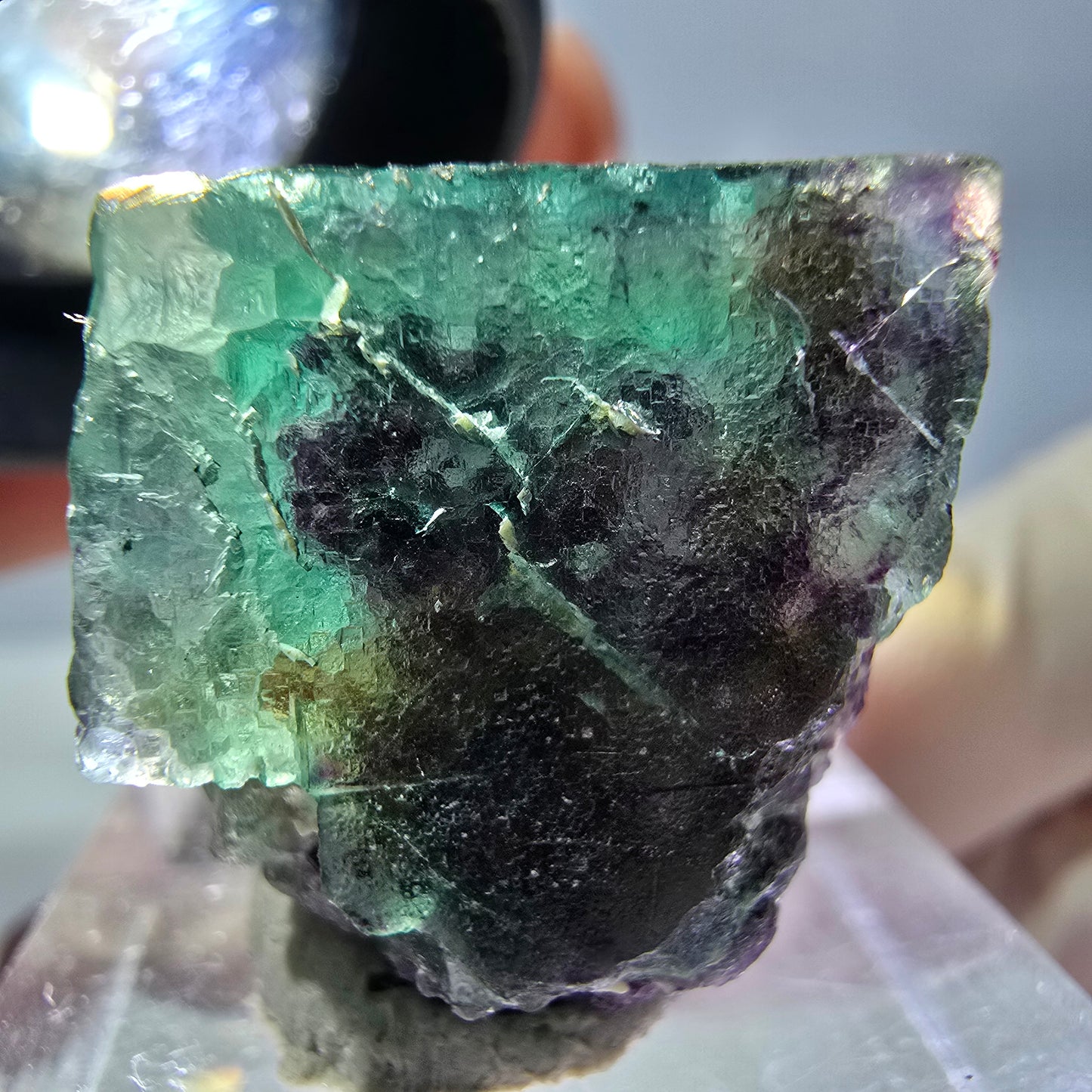 Phantom Fluorit Würfel Stufe, parkettiert grün lila Okorusu, Namibia 27*21*16mm