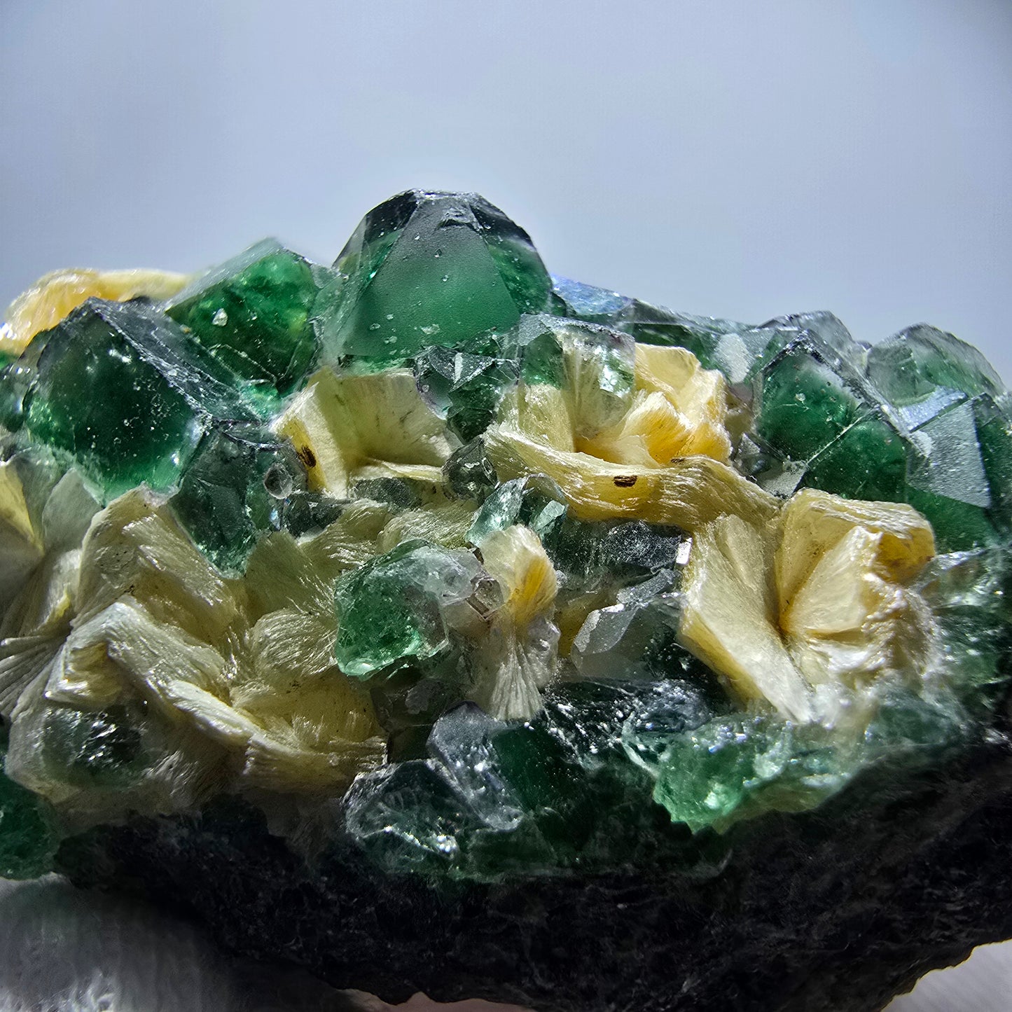 Rare Phantom Fluorite Cubes, Muscovite Specimen Erongo, Namibia 51*31*24mm