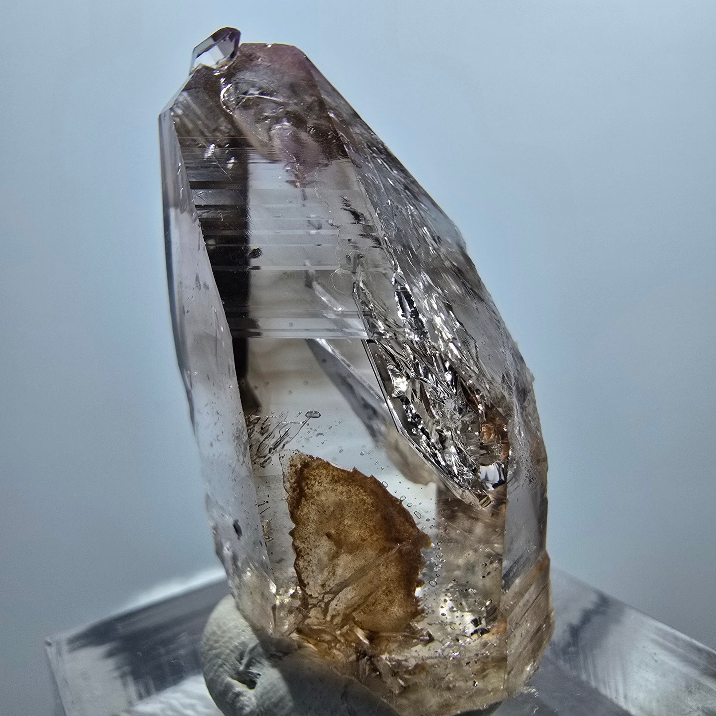 Enhydro Phantom Smoky Quartz Scepter, 3x Bubble Goboboseb, Namibia 33*19*14mm