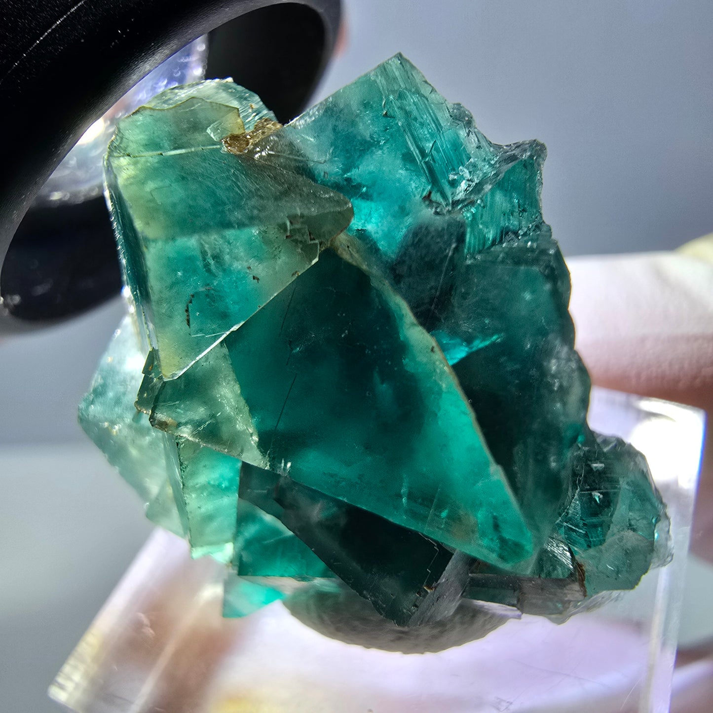 Spécimen de cube de fluorite fantôme, parquet vert Okorusu, Namibie 29*25*15 mm