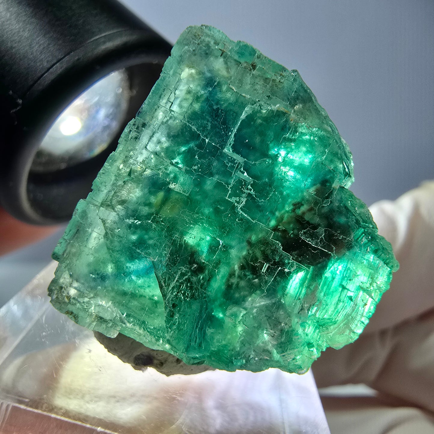 Cube de fluorite fantôme transparente parquetée, vert Okorusu, Namibie 23*23*22mm
