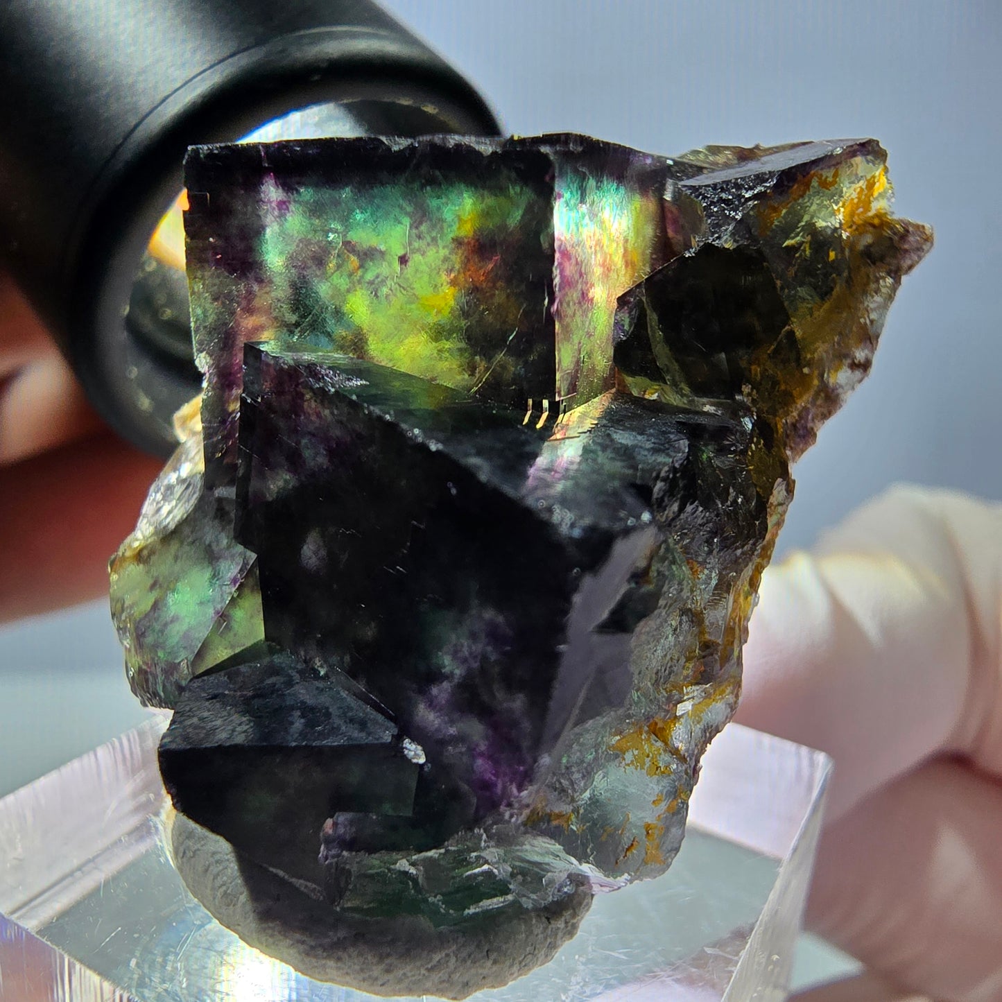 Phantom Fluorit Würfel Stufe, parkettiert grün lila Okorusu, Namibia 39*25*18mm