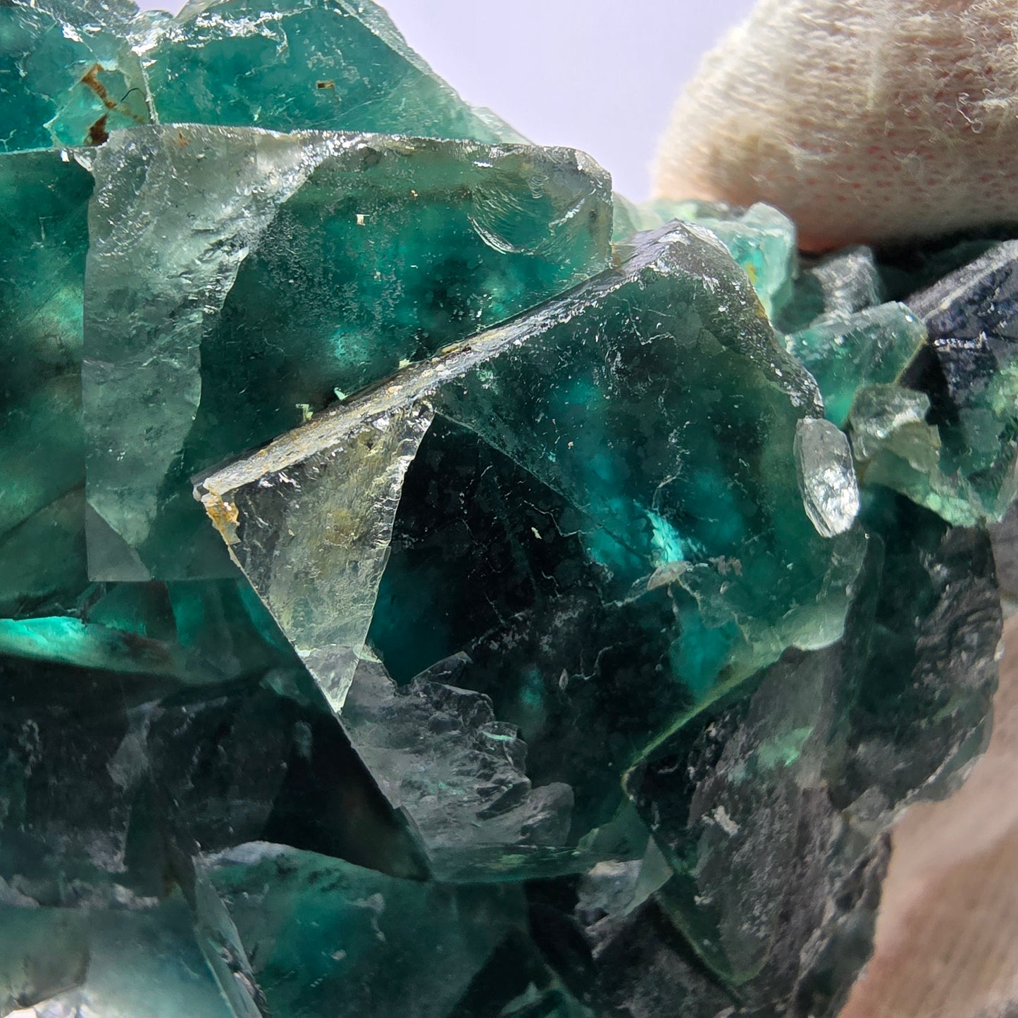 Rare spécimen de cube de fluorite fantôme, vert violet Okorusu Namibie 75*59*25 mm