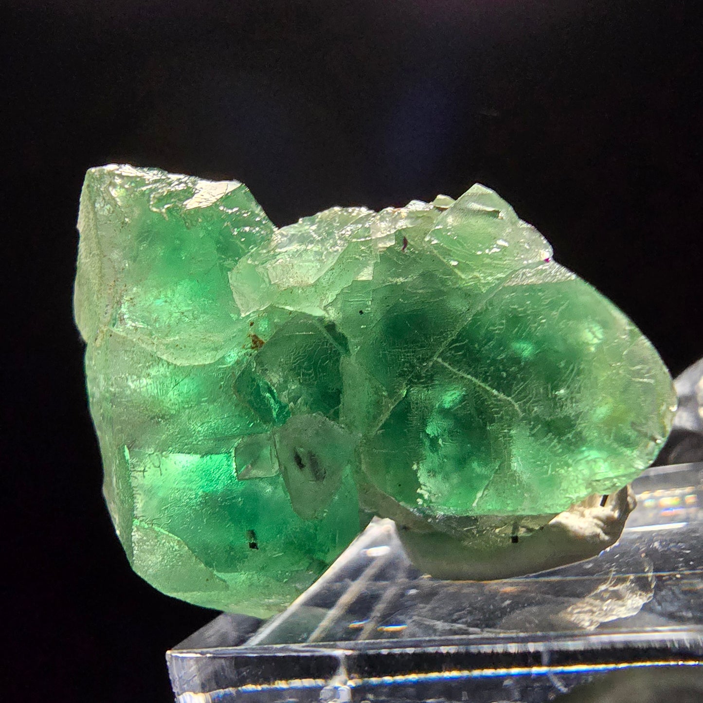 Klare Phantom Fluorit, Schörl Turmalin, Muskovit Stufe Erongo Namibia 30*24*19mm