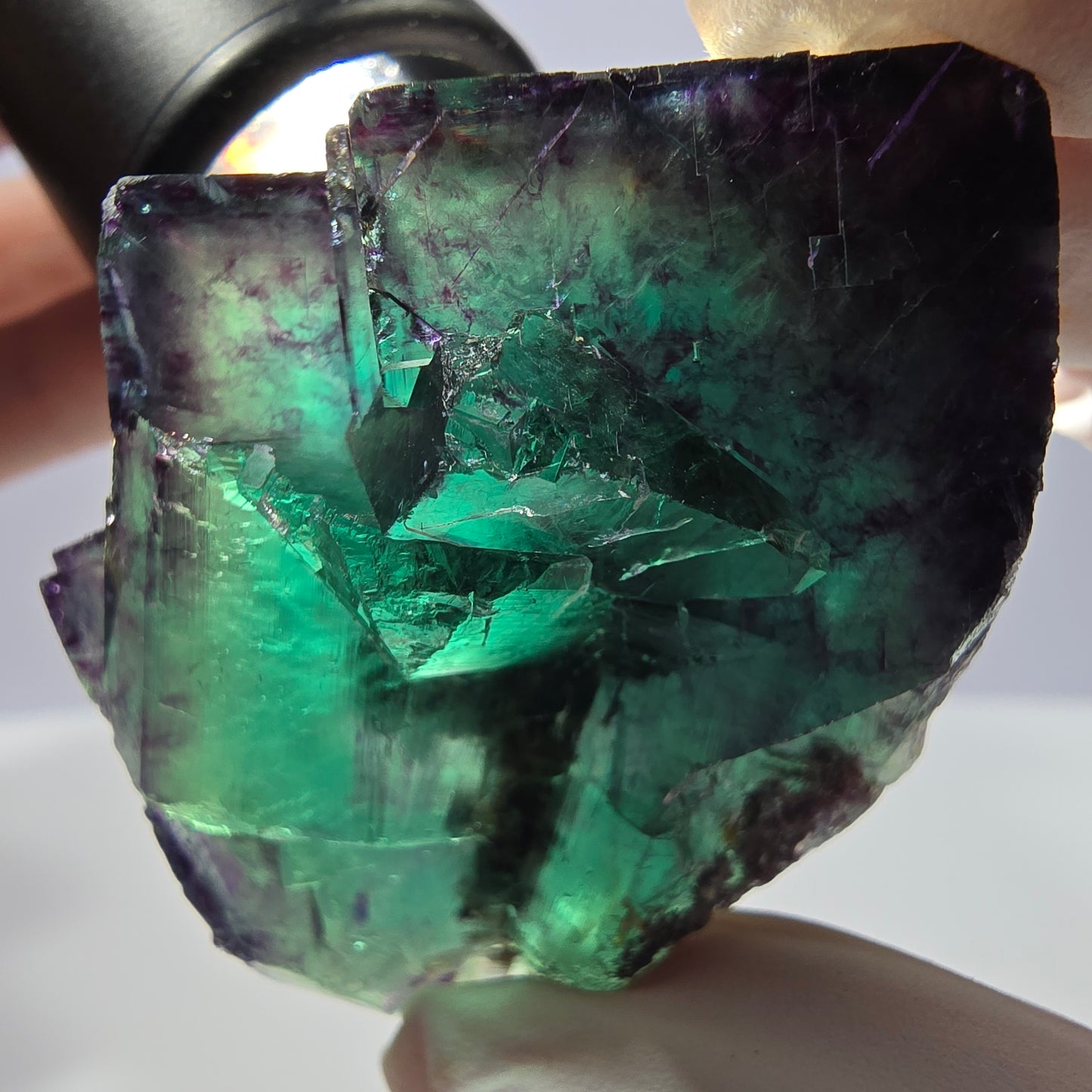 Spécimen de cube de fluorite fantôme parqueté vert violet Okorusu, Namibie 53*43*28mm