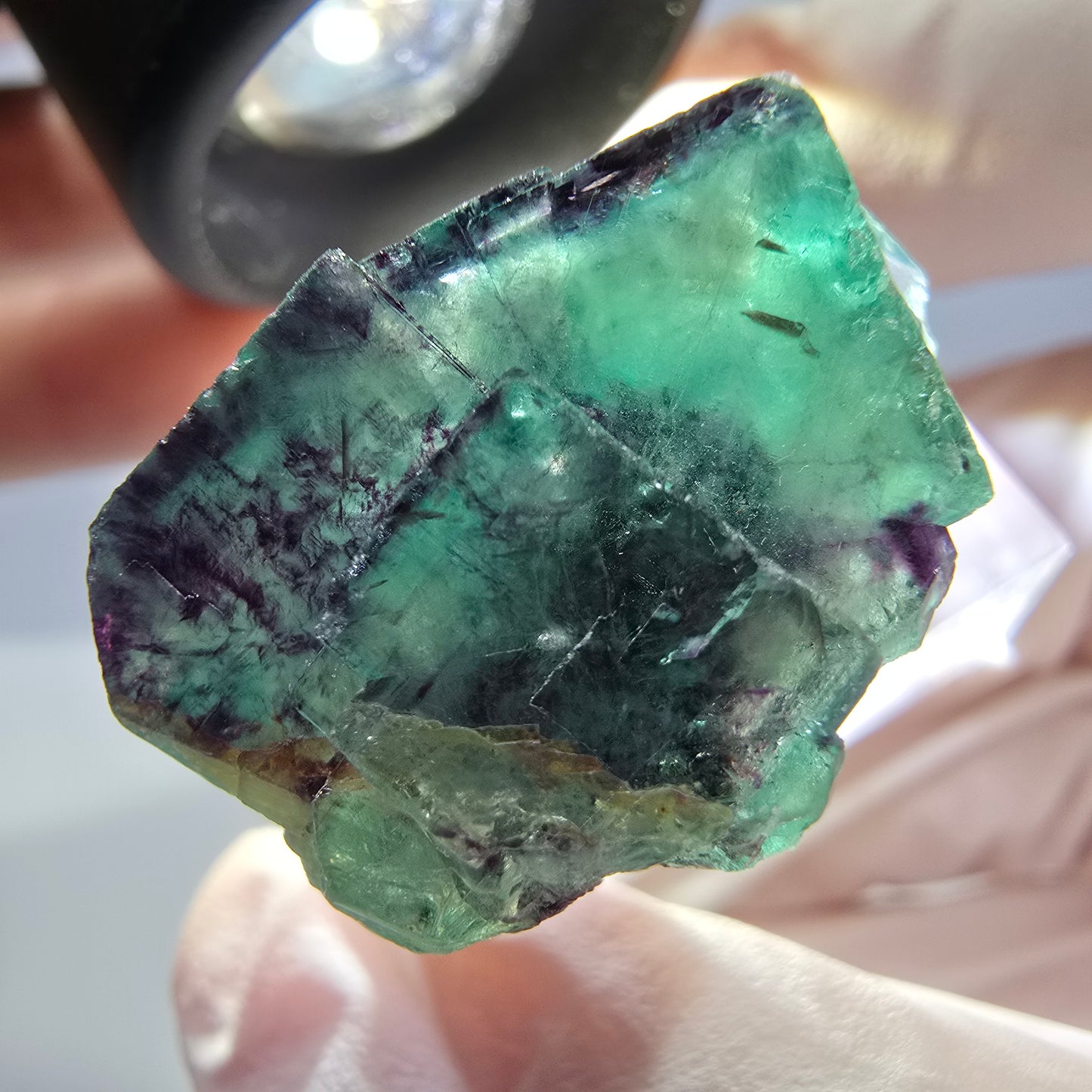 Spécimen de cube de fluorite fantôme, parqueté vert violet Okorusu, Namibie 30*26*17 mm