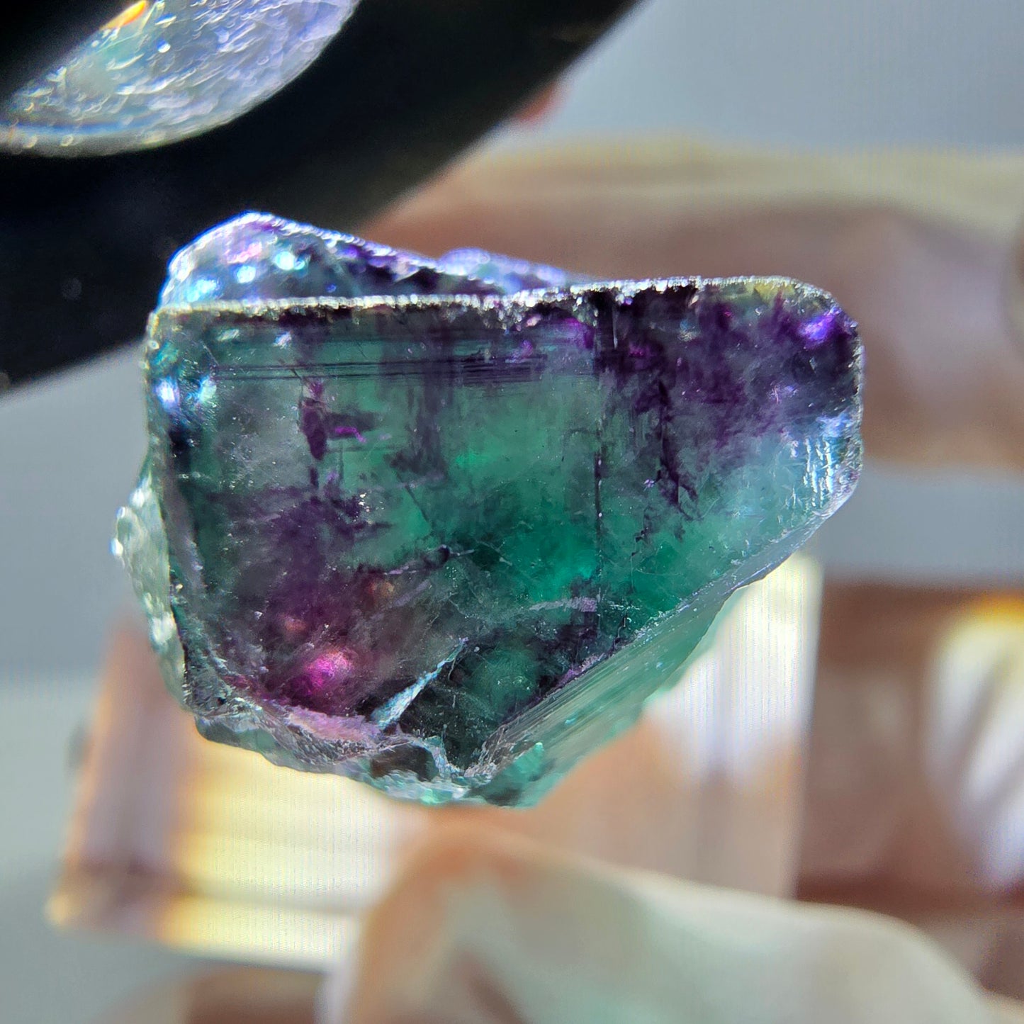 Phantom Fluorit Würfel Stufe, parkettiert grün lila Okorusu, Namibia 26*18*13mm