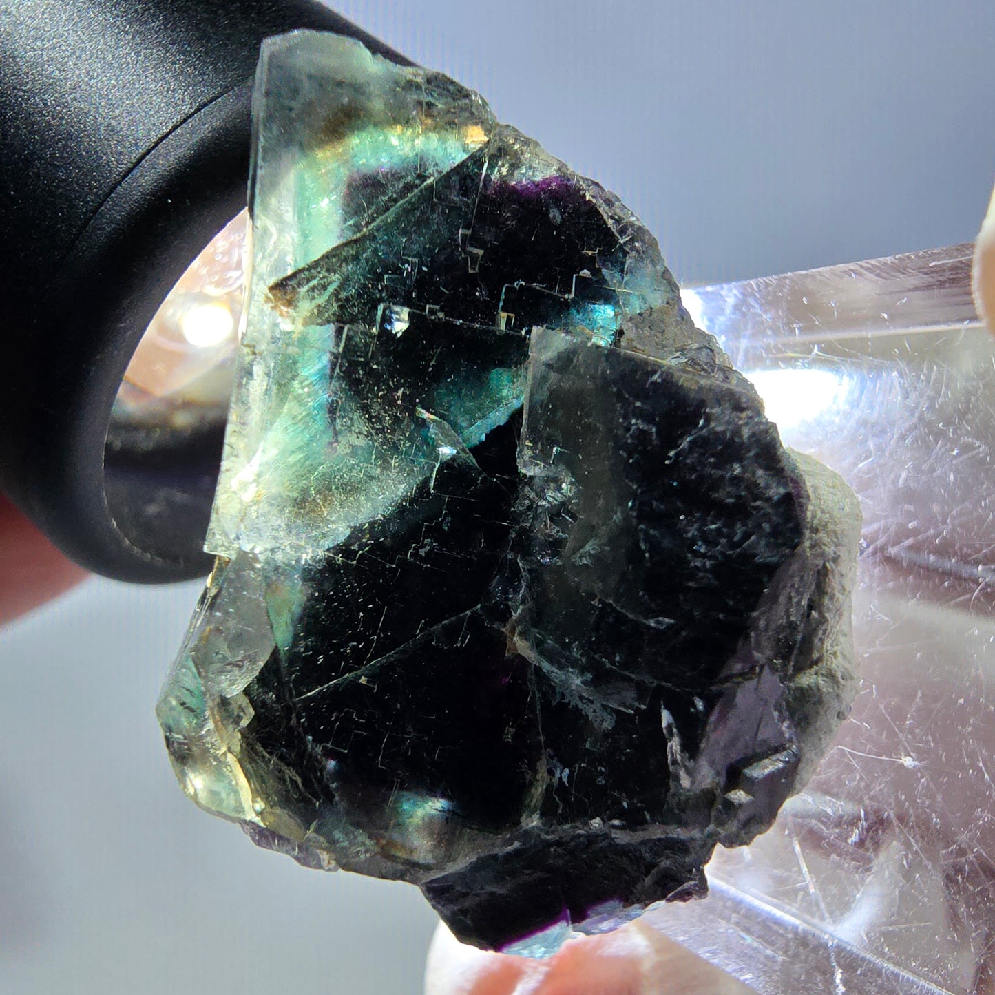 Spécimen de cube de fluorite fantôme, parqueté vert violet Okorusu, Namibie 35*22*15 mm