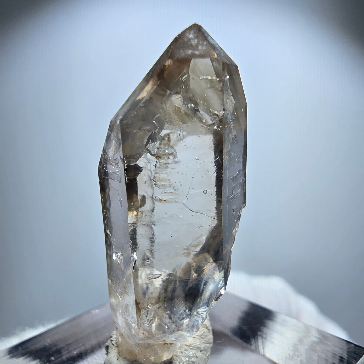 Enhydro Phantom Rauchquarz Zepter, 2x Blase Goboboseb, Namibia 31*13*11mm