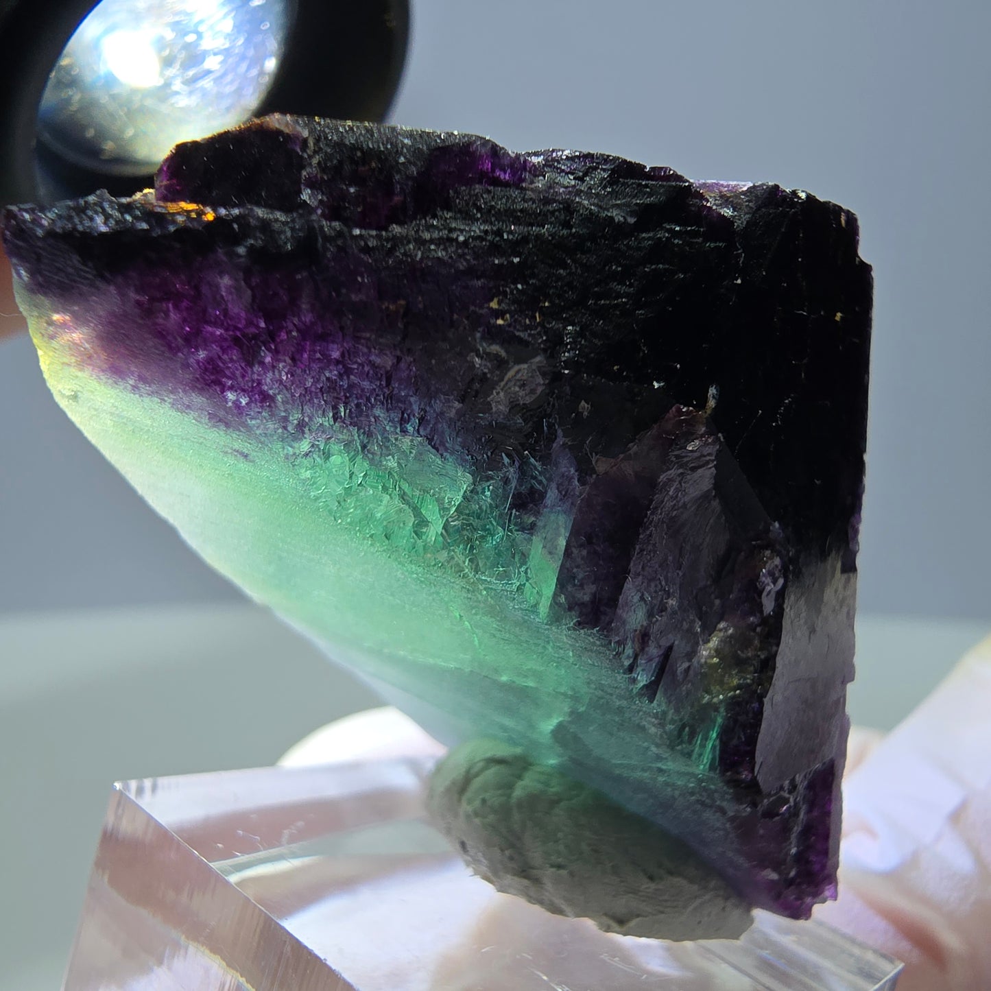 Rare cube de fluorite fantôme parqueté vert violet Okorusu Namibie 46*29*22mm