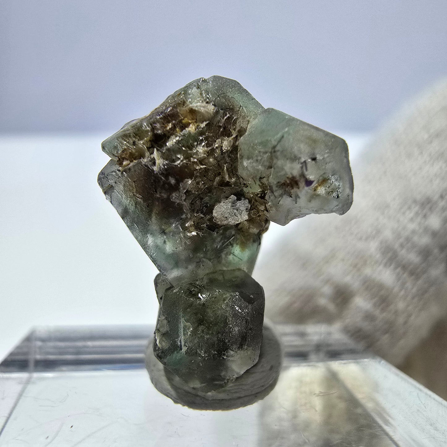 Cube de fluorite fantôme, spécimen de muscovite, Erongo, Namibie, 18 x 14 x 9 mm