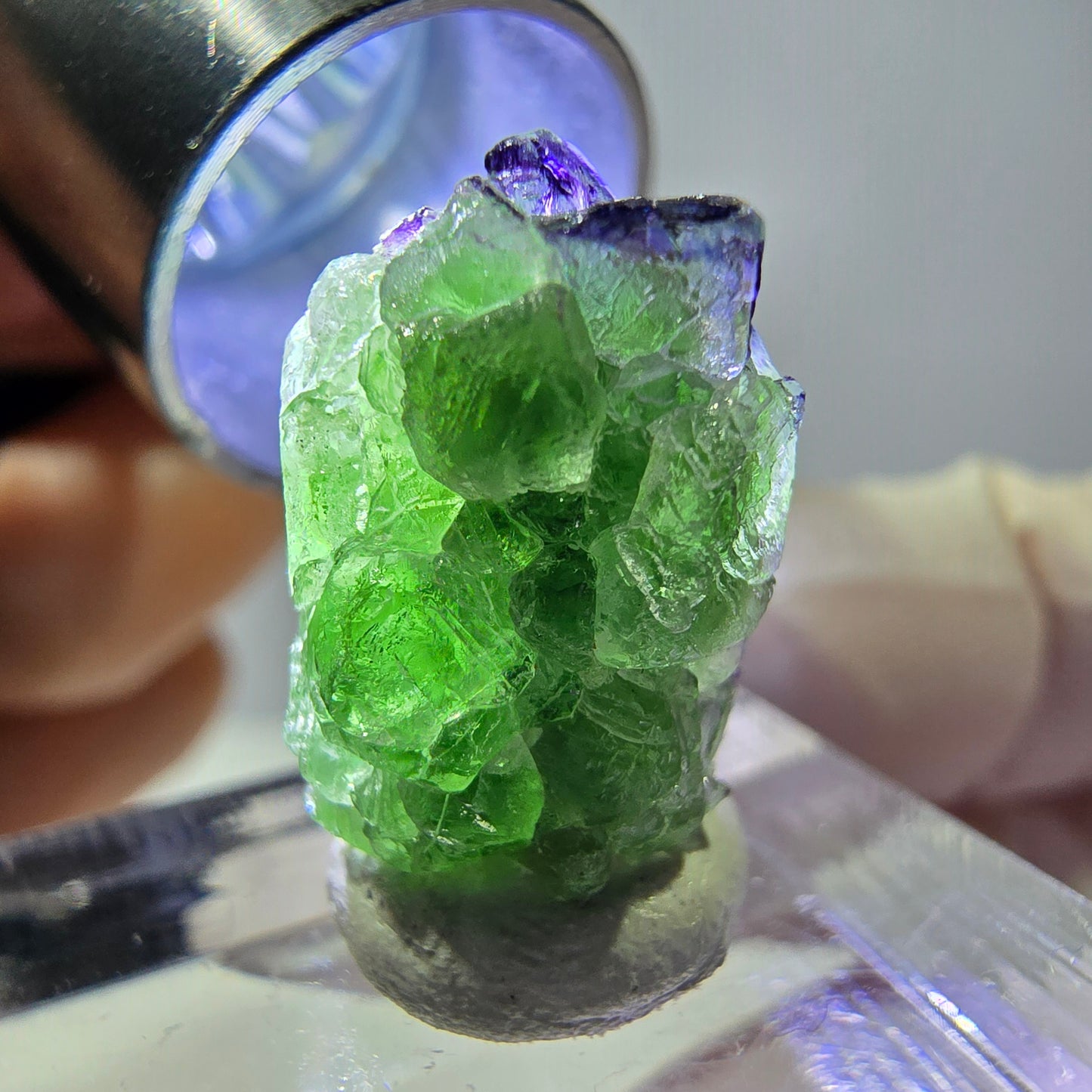 Cube de fluorite fantôme, zonal, spécimen de tourmaline Schorl, Erongo, Namibie, 18 x 12 x 12 mm