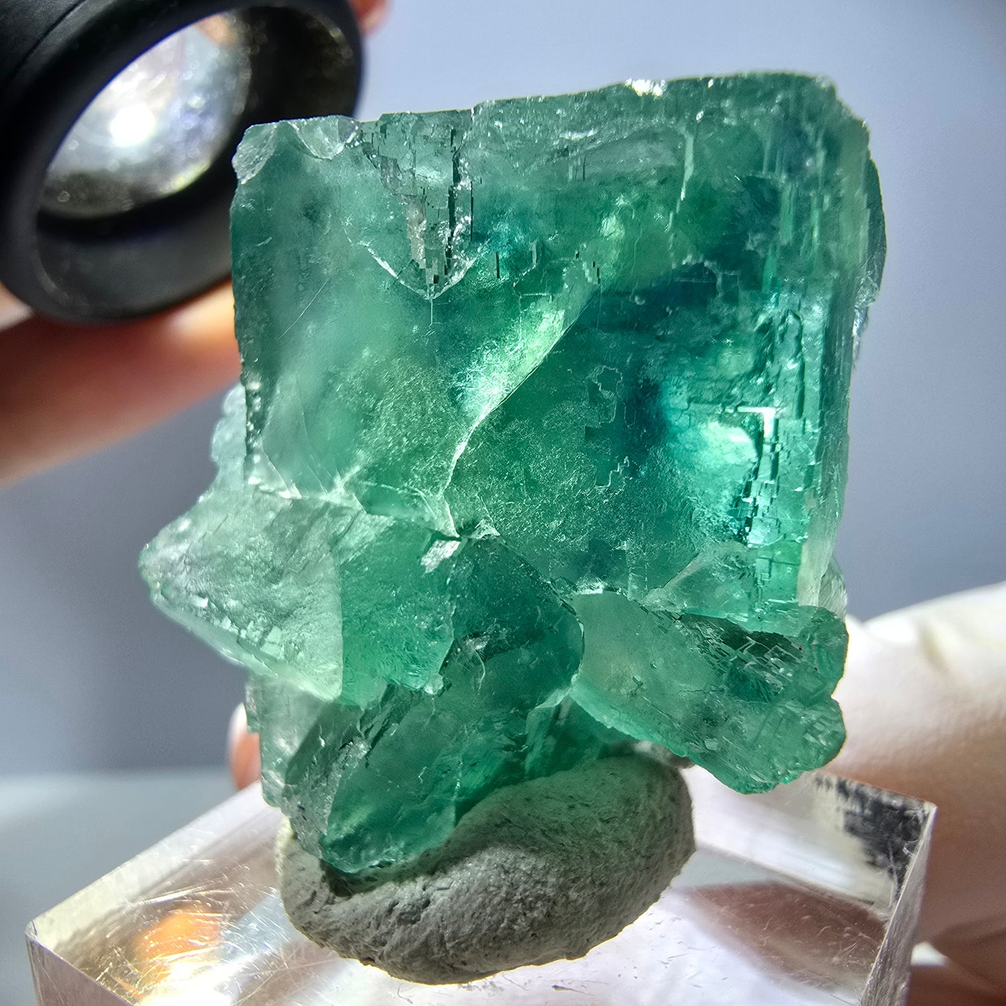Rare spécimen de cube de fluorite fantôme, vert Okorusu, Namibie 34 x 29 x 21 mm