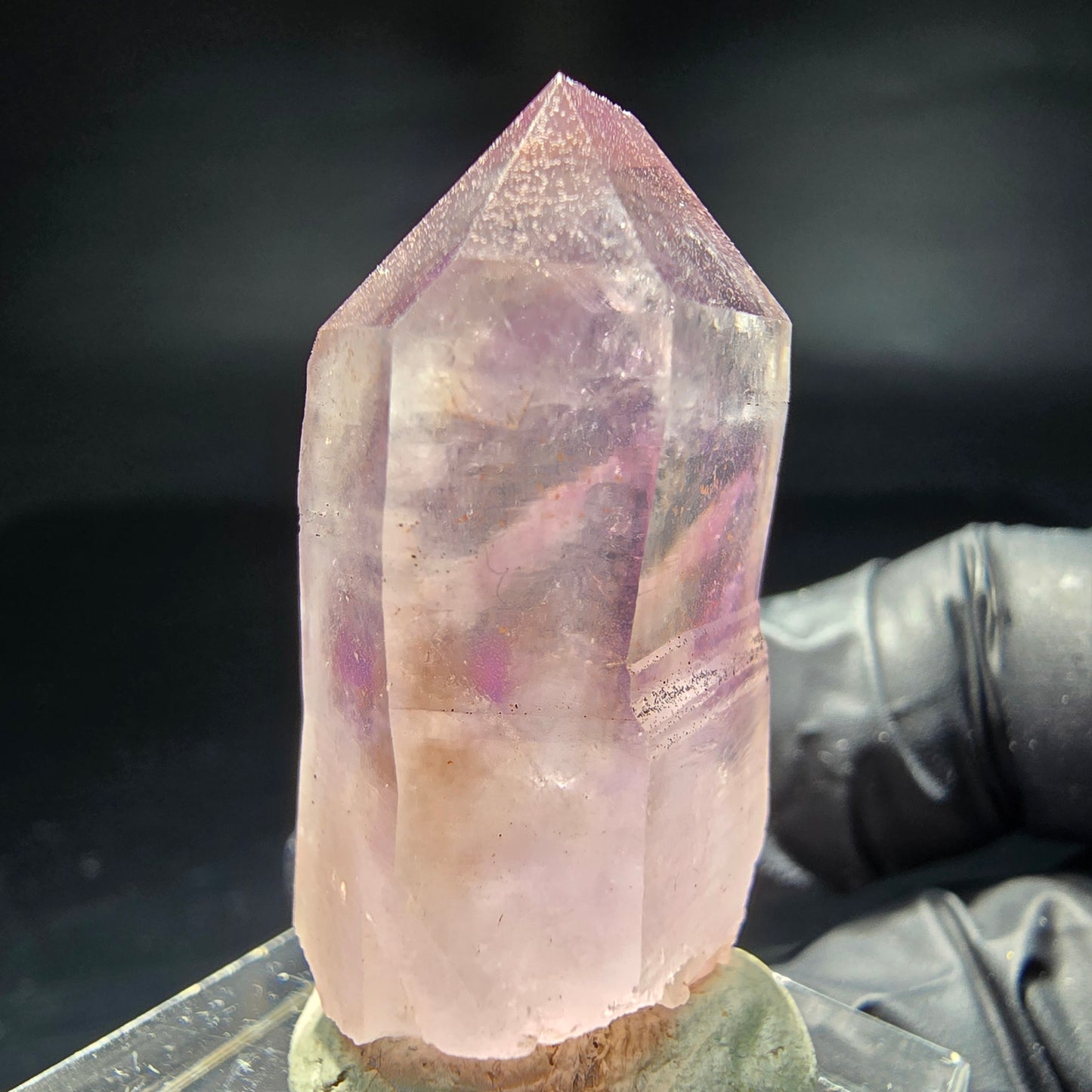 Klare Phantom Amethyst Zepter Spitze Goboboseb Namibia 37*22*15mm Sammlung