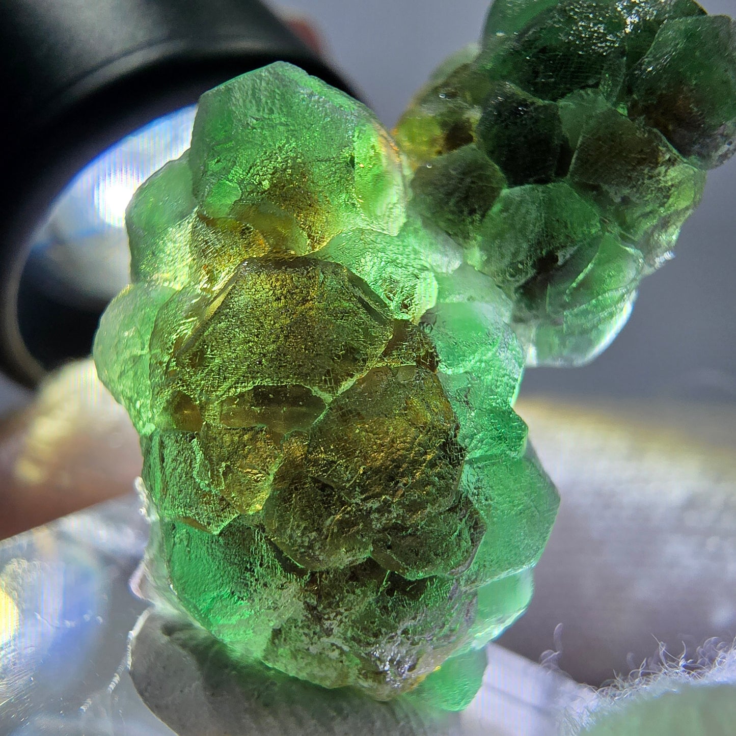 Cube de fluorite fantôme, spécimen de muscovite, Erongo, Namibie, 30 x 19 x 13 mm